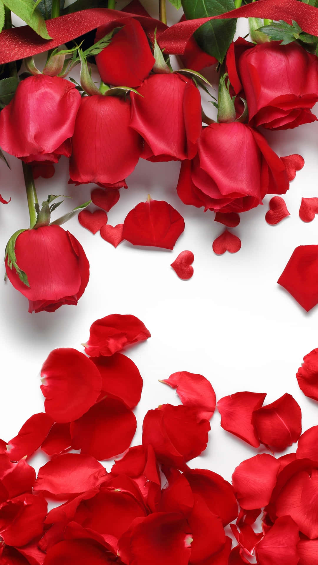 iPhone X Roses 桌布 壁紙 — 鮮豔的紅玫瑰和散落的花瓣在純淨的白色背景上如瀑布般傾瀉，搭配茂盛的綠色莖幹。