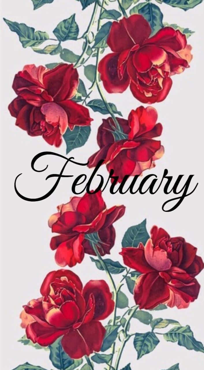 桌布 壁紙 — 鮮豔的紅玫瑰和綠葉圍繞著優雅黑色字體的「February」一詞，如瀑布般垂落。