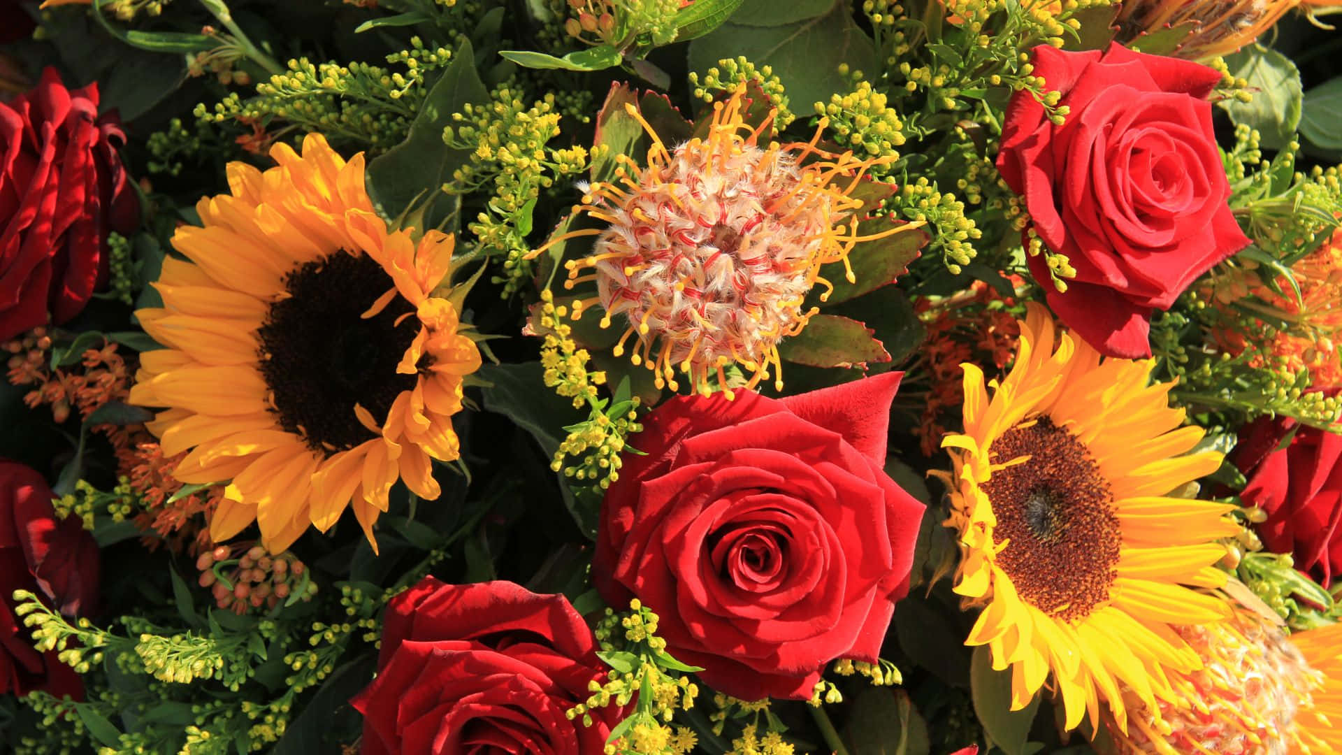 Roses 桌布 壁紙 — 鮮豔的紅玫瑰和黃色向日葵花束，搭配綠色葉片，在明亮的陽光下綻放。