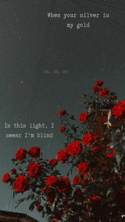Aesthetic Love 桌布 壁紙 — 鮮豔的紅玫瑰在帶有詩意白色文字疊加的深色紋理天空中綻放。