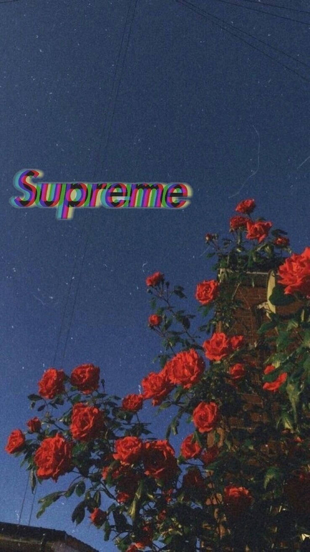 supreme aesthetic 桌布 壁紙 — 鮮豔的紅玫瑰在星空夜空中綻放，上方漂浮著帶有故障效果的Supreme標誌。