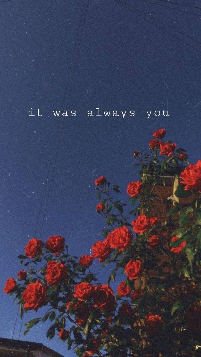 Aesthetic Love 桌布 壁紙 — 鮮豔的紅玫瑰在星空夜空中綻放，並附有文字「一直是你」。