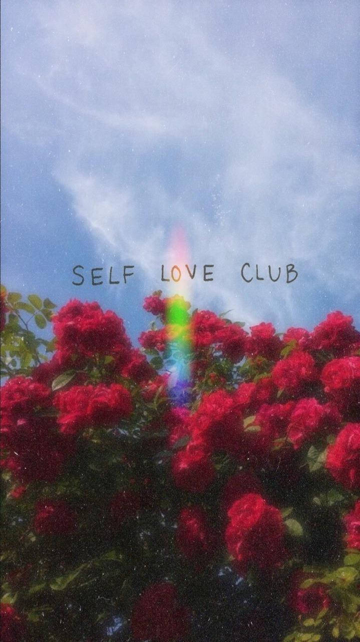 美學 Tumblr 桌布 壁紙 — 鮮豔的紅玫瑰在柔和的藍天下盛開，上方有彩虹稜鏡和發光的「SELF LOVE CLUB」文字。