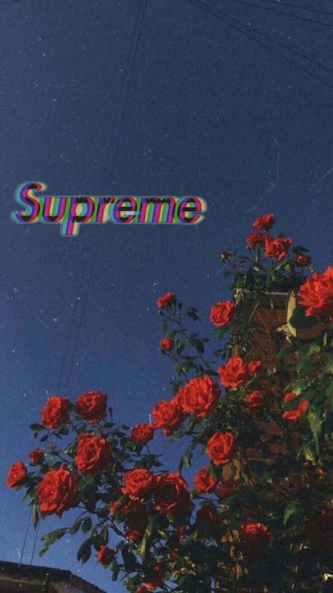 Dope Tumblr iPhone 桌布 壁紙 — 鮮豔的紅玫瑰在深藍色的夜空中綻放，上方漂浮著一個帶有故障效果的Supreme標誌。
