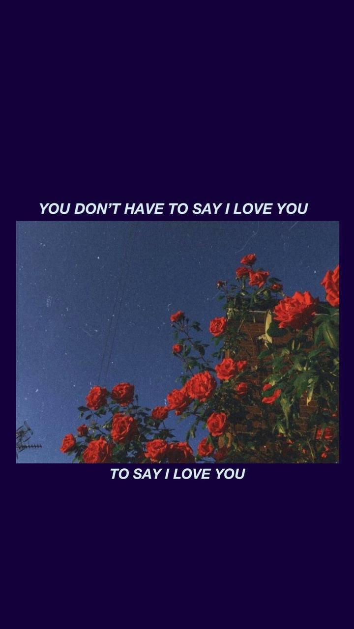 Aesthetic Love 桌布 壁紙 — 鮮豔的紅玫瑰在繁星點點的夜空下盛開，並帶有文字疊加 'YOU DON'T HAVE TO SAY I LOVE YOU TO SAY I LOVE YOU'。
