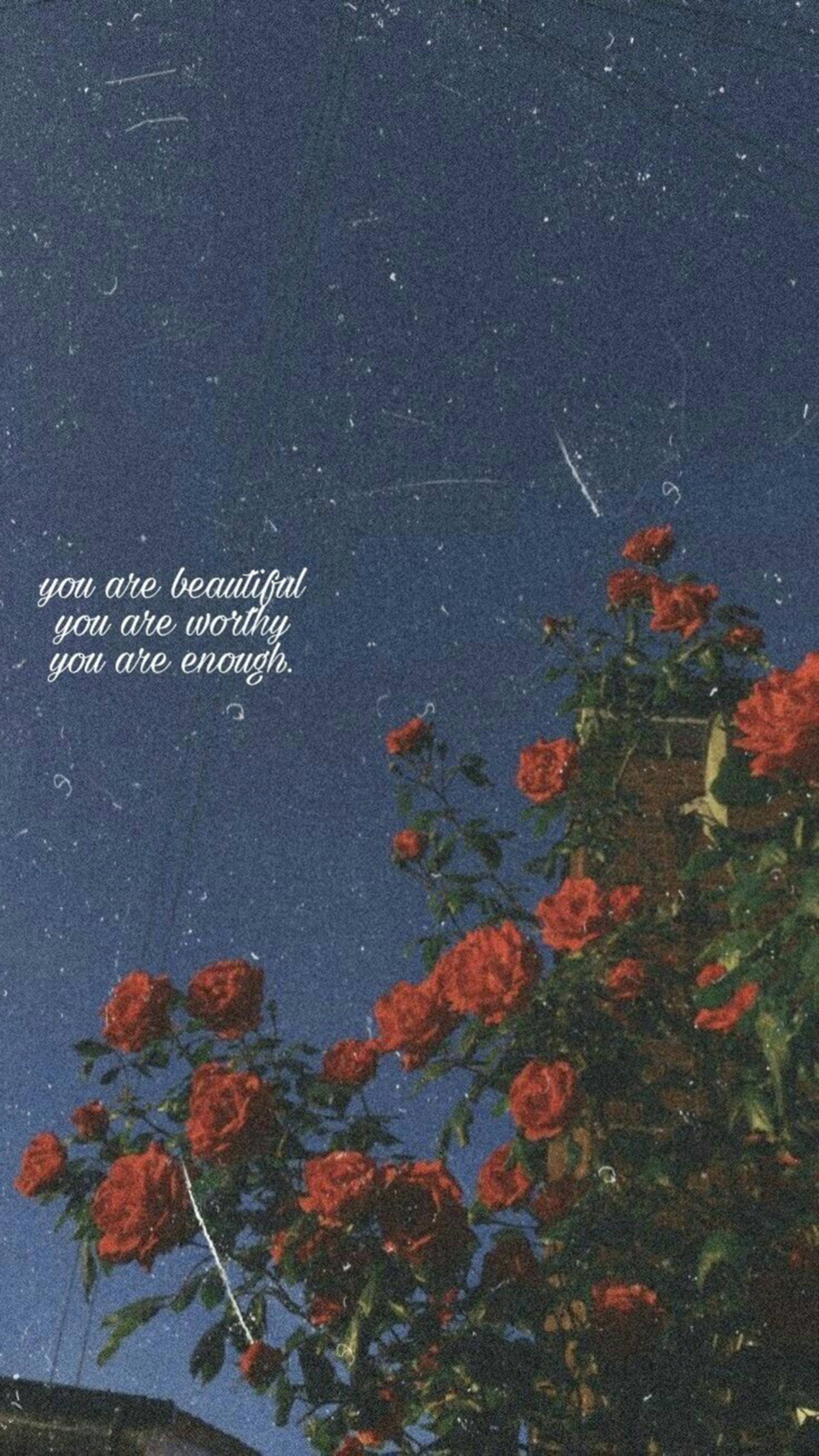 You Are Beautiful 桌布 壁紙 — 鮮豔的紅玫瑰在繁星點點的夜空中綻放，文字疊加顯示「你很美麗，你很有價值，你已經足夠」。