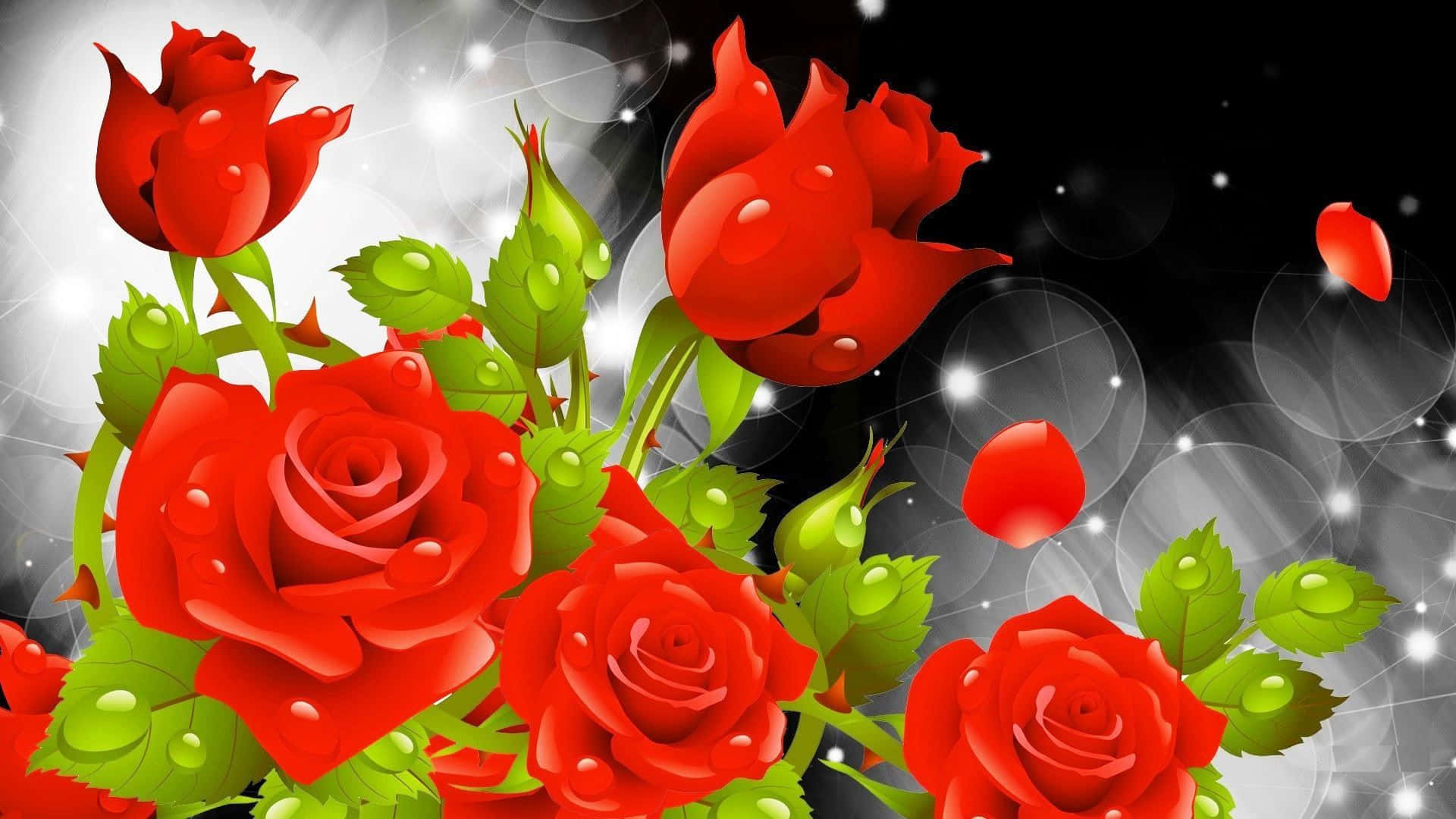 Abstract Rose 桌布 壁紙 — 鮮豔的紅玫瑰帶有露珠，在閃爍的黑白散景背景中綻放。