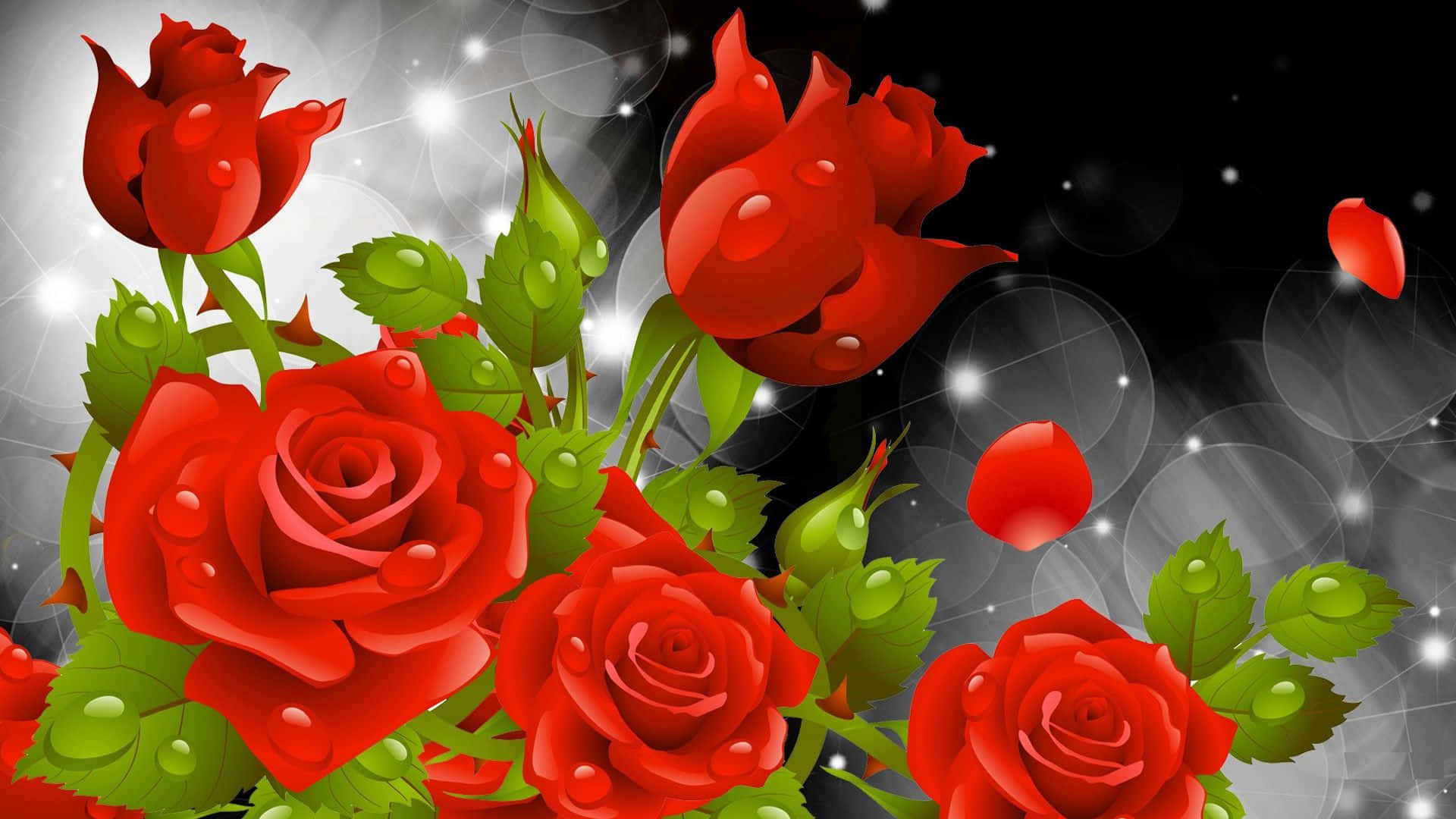 Red Rose 桌布 壁紙 — 鮮豔的紅玫瑰帶著露珠，在閃爍的黑白散景背景中綻放。