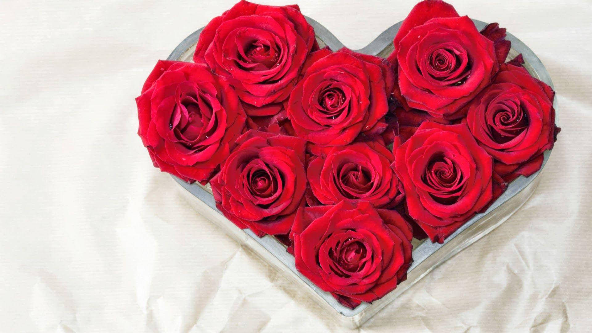 Red Roses 桌布 壁紙 — 鮮豔的紅玫瑰排列在一個心形玻璃碗中，置於柔軟的白色布料背景上。
