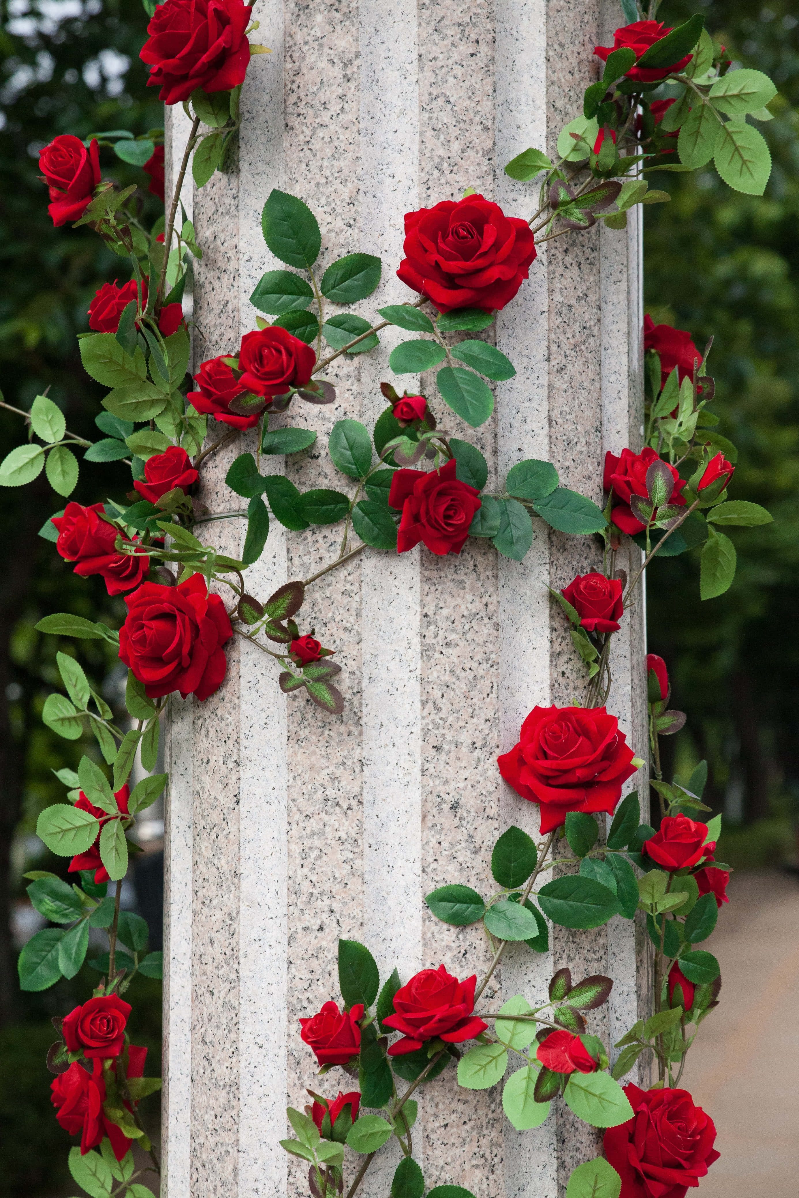 iPhone X Roses 桌布 壁紙 — 鮮豔的紅玫瑰攀爬在紋理石柱上，伴隨著茂盛的綠葉，背景是柔和模糊的花園。