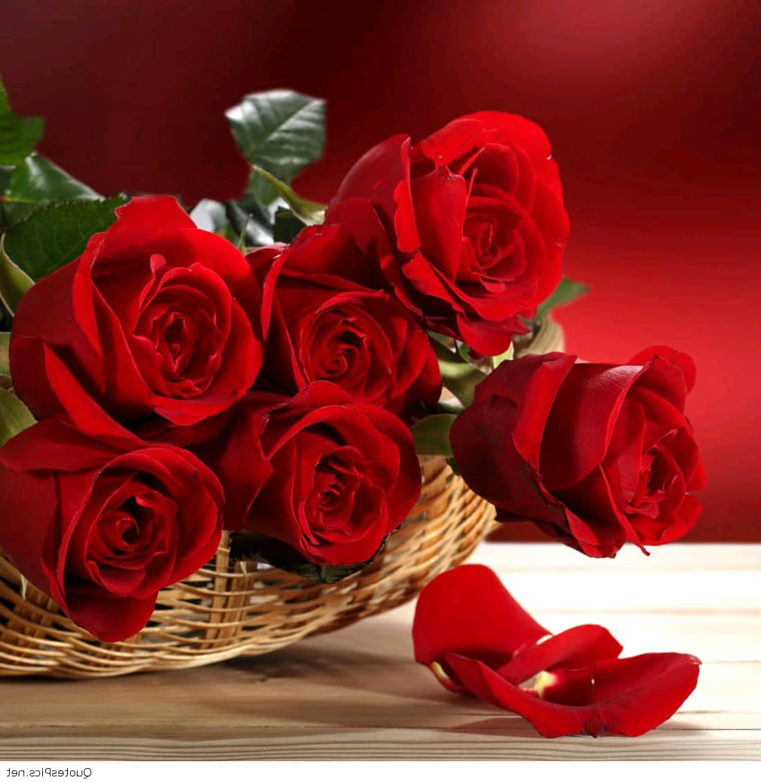HD Roses 桌布 壁紙 — 鮮豔的紅玫瑰放在編織籃中，花瓣散落在木質表面上，背景為深紅色。