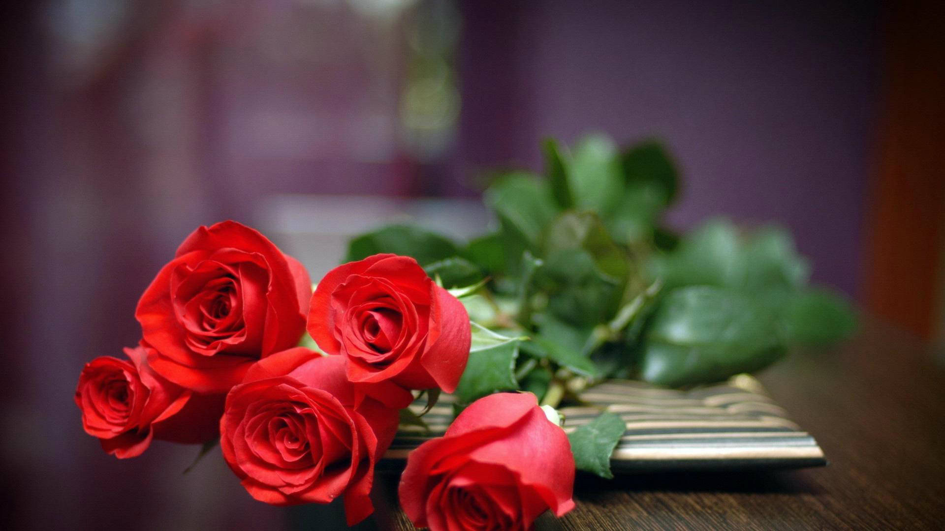 Rose HD 桌布 壁紙 — 鮮豔的紅玫瑰與茂盛的綠葉優雅地放置在條紋金屬托盤上，背景是柔和的紫色。
