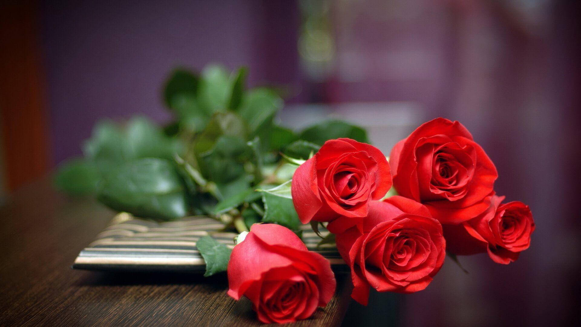beautiful rose HD 桌布 壁紙 — 鮮豔的紅玫瑰與茂盛的綠葉優雅地放在木桌上，旁邊是一本條紋筆記本。