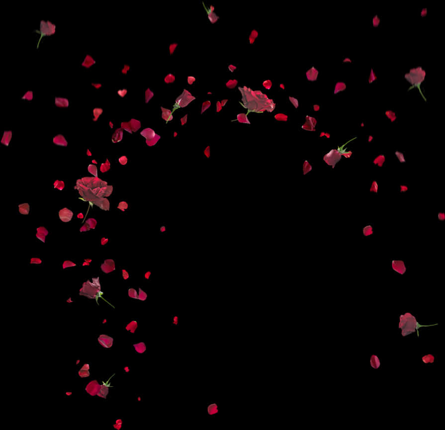 Rose Petals Falling 桌布 壁紙 — 鮮豔的紅玫瑰花瓣和花朵在黑色虛空中以慢動作優雅飄落。