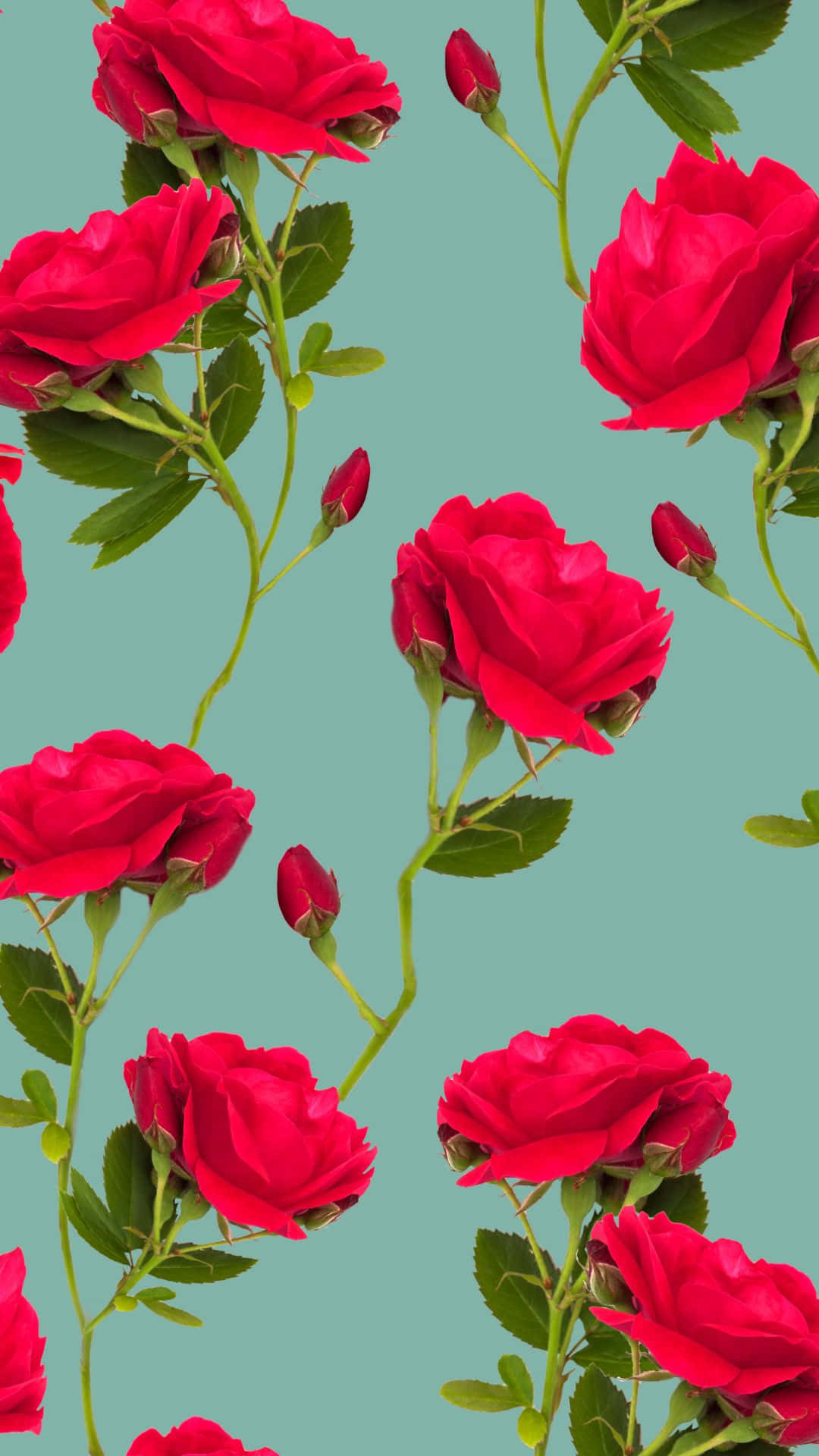 Red Roses 桌布 壁紙 — 鮮豔的紅玫瑰配以綠色莖和花蕾，在柔和的青綠色背景上以重複圖案盛開。