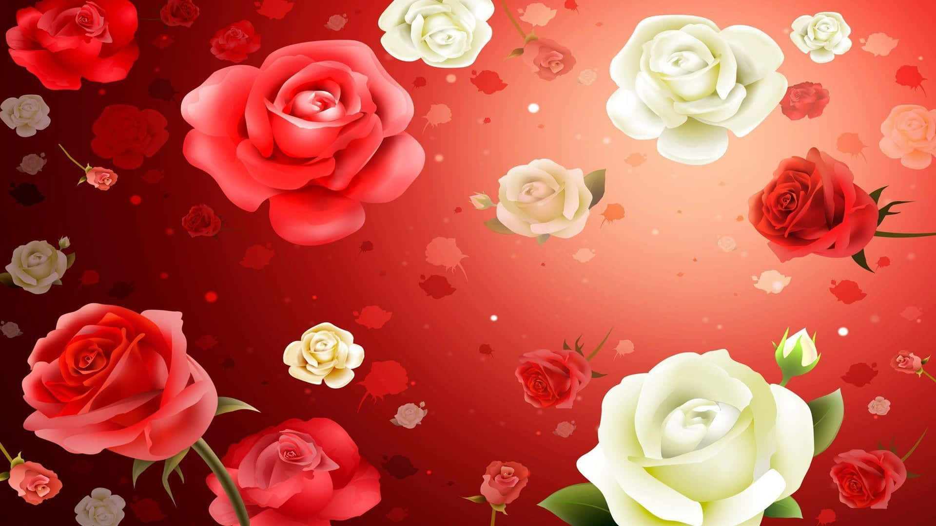 Rose Flower 桌布 壁紙 — 鮮豔的紅白玫瑰優雅地漂浮在豐富的漸變紅色背景上，散落著花瓣。