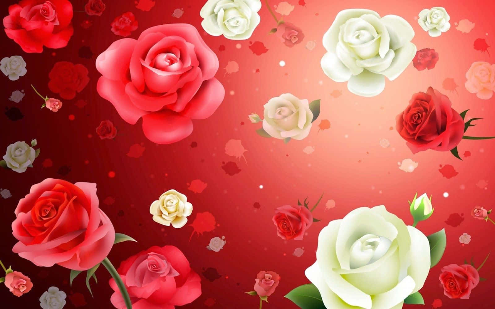 Flowers 桌布 壁紙 — 鮮豔的紅白玫瑰在豐富的紅色漸變背景上優雅地漂浮，帶有微妙的花卉飛濺效果。