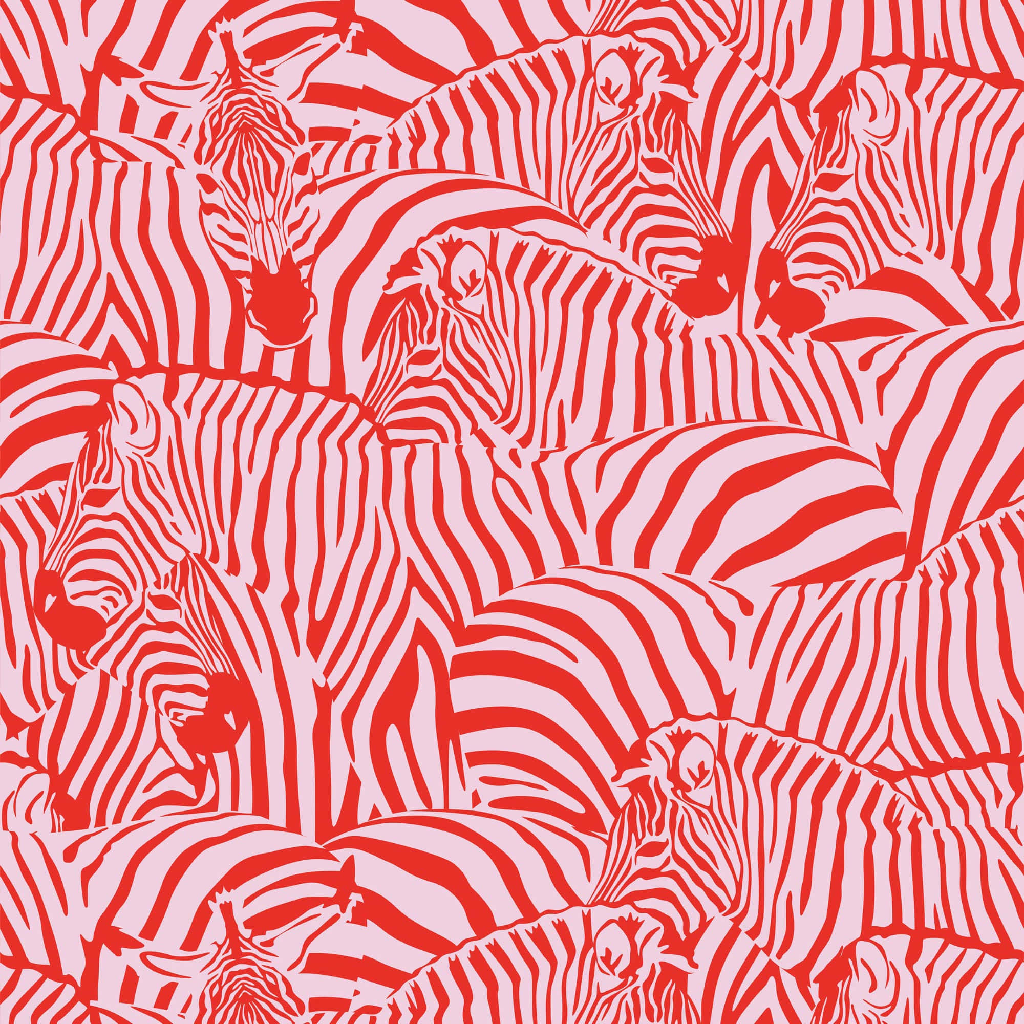 Pink Zebra 桌布 壁紙 — 鮮豔的紅白風格化斑馬圖案壁紙，帶有重複的動物頭部和條紋。