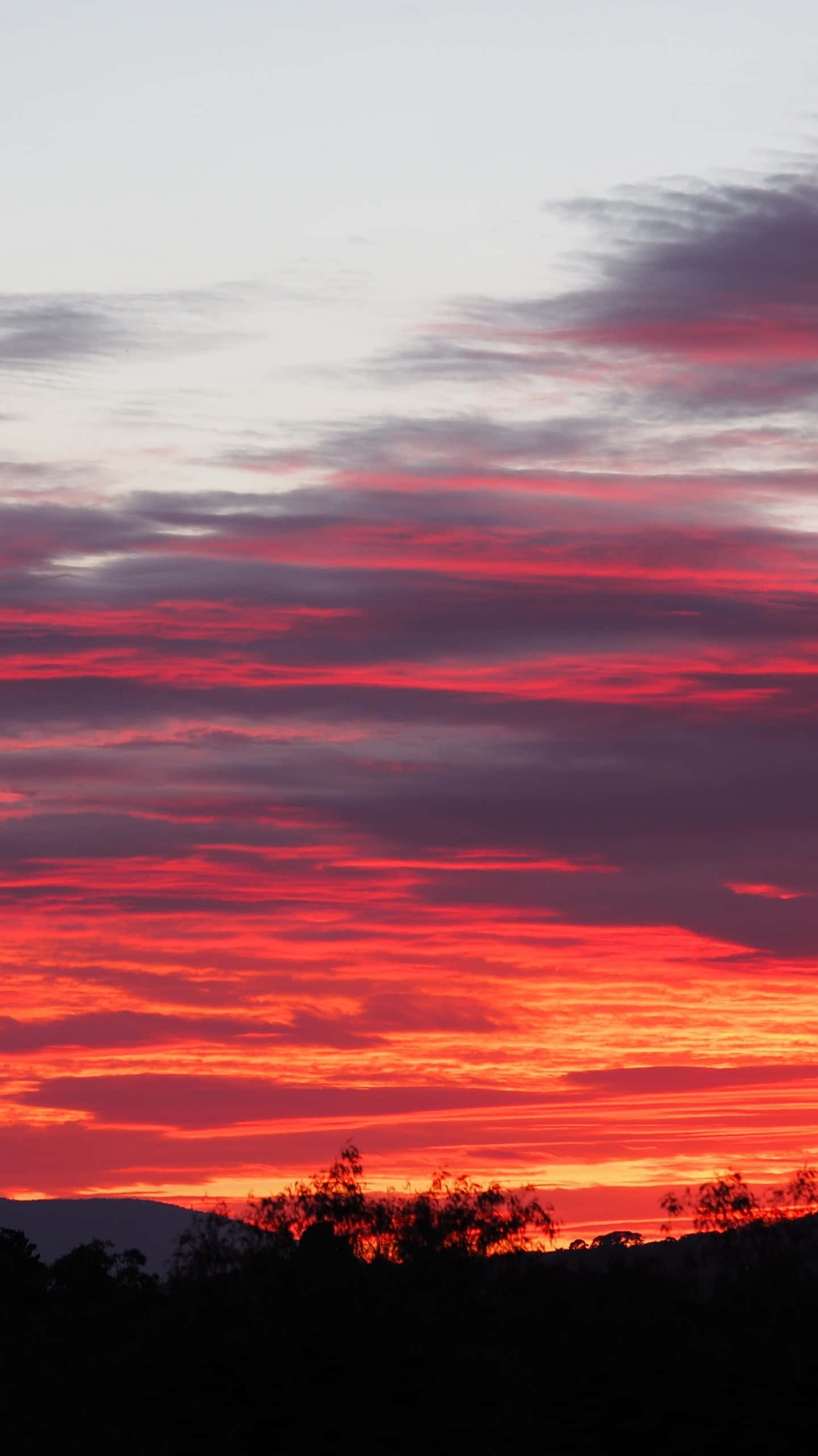 Clouds Aesthetics 桌布 壁紙 — 鮮豔的紅色、橙色和紫色雲彩劃過暮色天空，籠罩在黑暗的樹木剪影和遠處山丘之上。