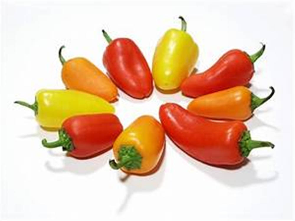 Fruit 桌布 壁紙 — 鮮豔的紅色、橙色和黃色甜椒在潔白背景上排列成圓形圖案。