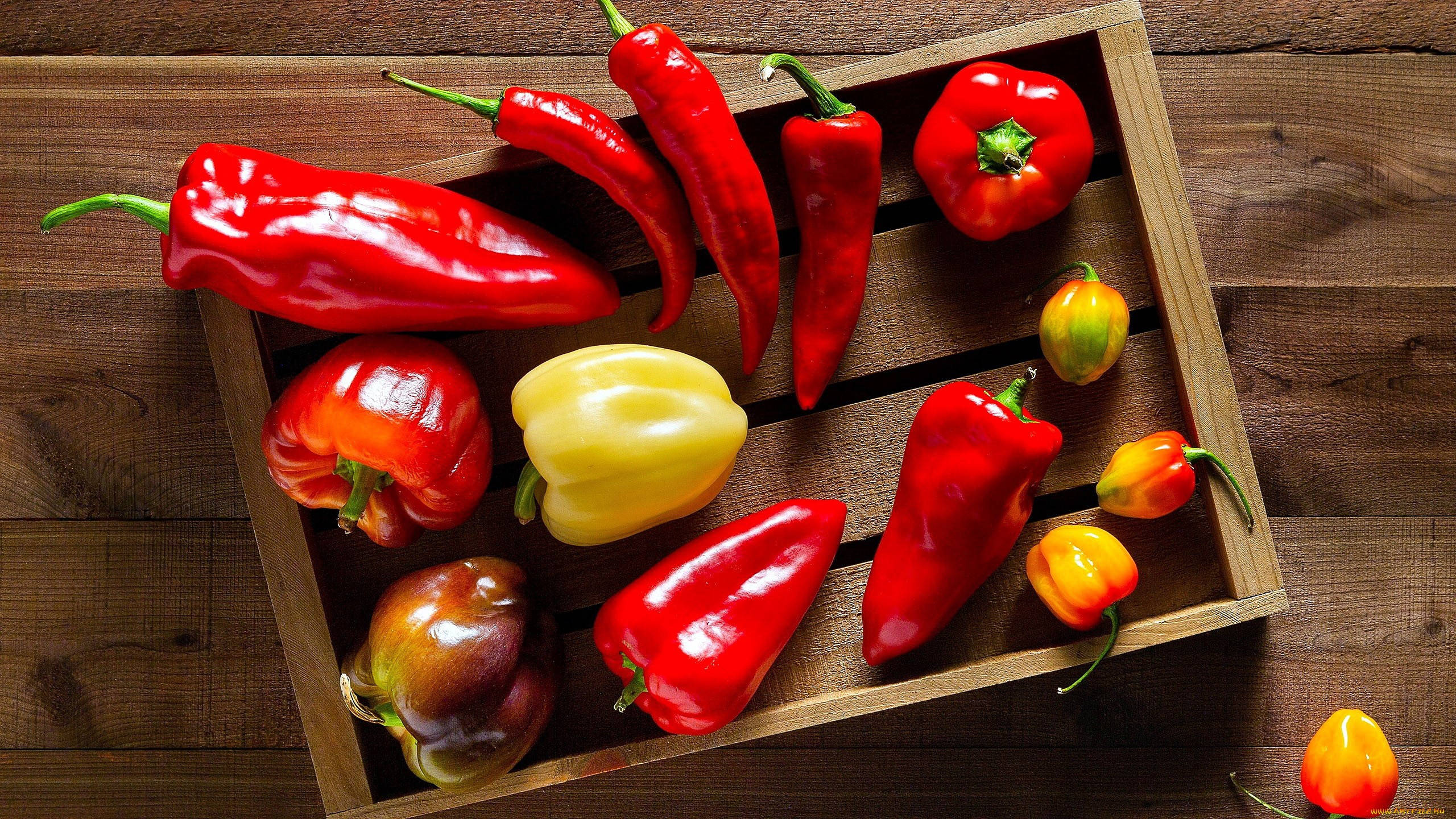 pepper 桌布 壁紙 — 鮮豔的紅色、黃色和橙色甜椒整齊地放在一個木箱裡，置於質樸的木質表面上。