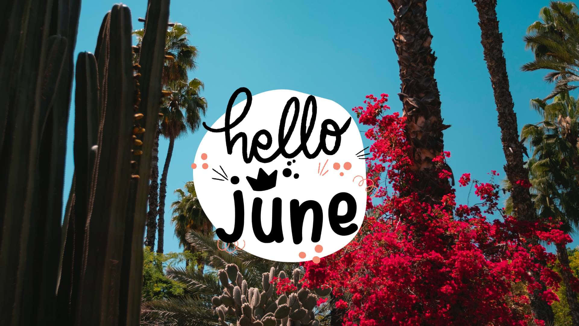 Hello 桌布 壁紙 — 鮮豔的紅色九重葛花朵圍繞著「hello june」圖案，背景是高聳的棕櫚樹和清澈的藍天。