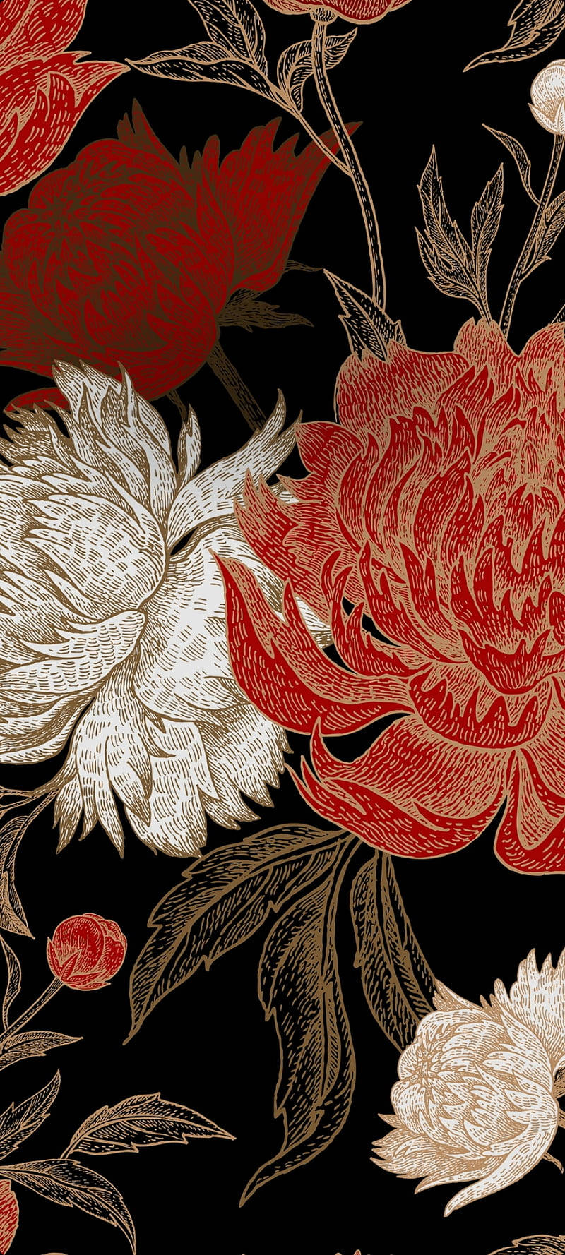 手機 桌布 壁紙 — 鮮豔的紅色和奶油色牡丹花，搭配金色花莖，在純黑背景上以精緻雕刻風格綻放。