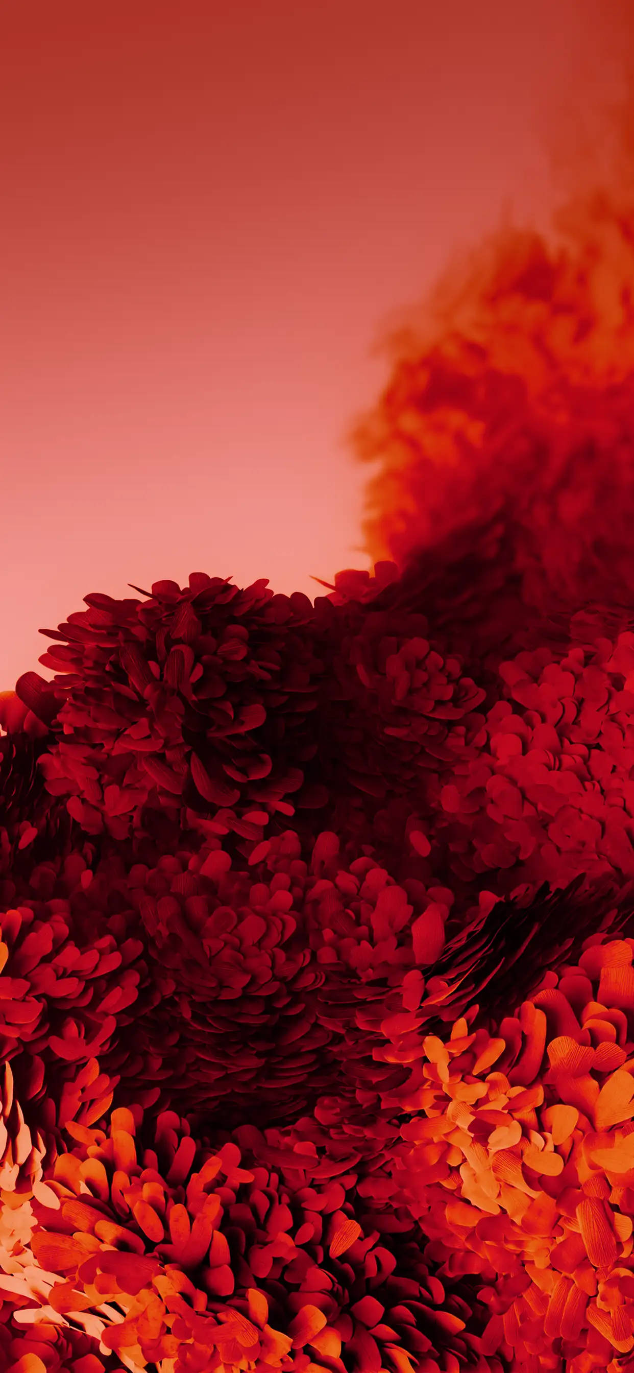iPhone 桌布 壁紙 — 鮮豔的紅色和橙色抽象花卉形狀在數位藝術作品中，在漸變的天空中綻放。