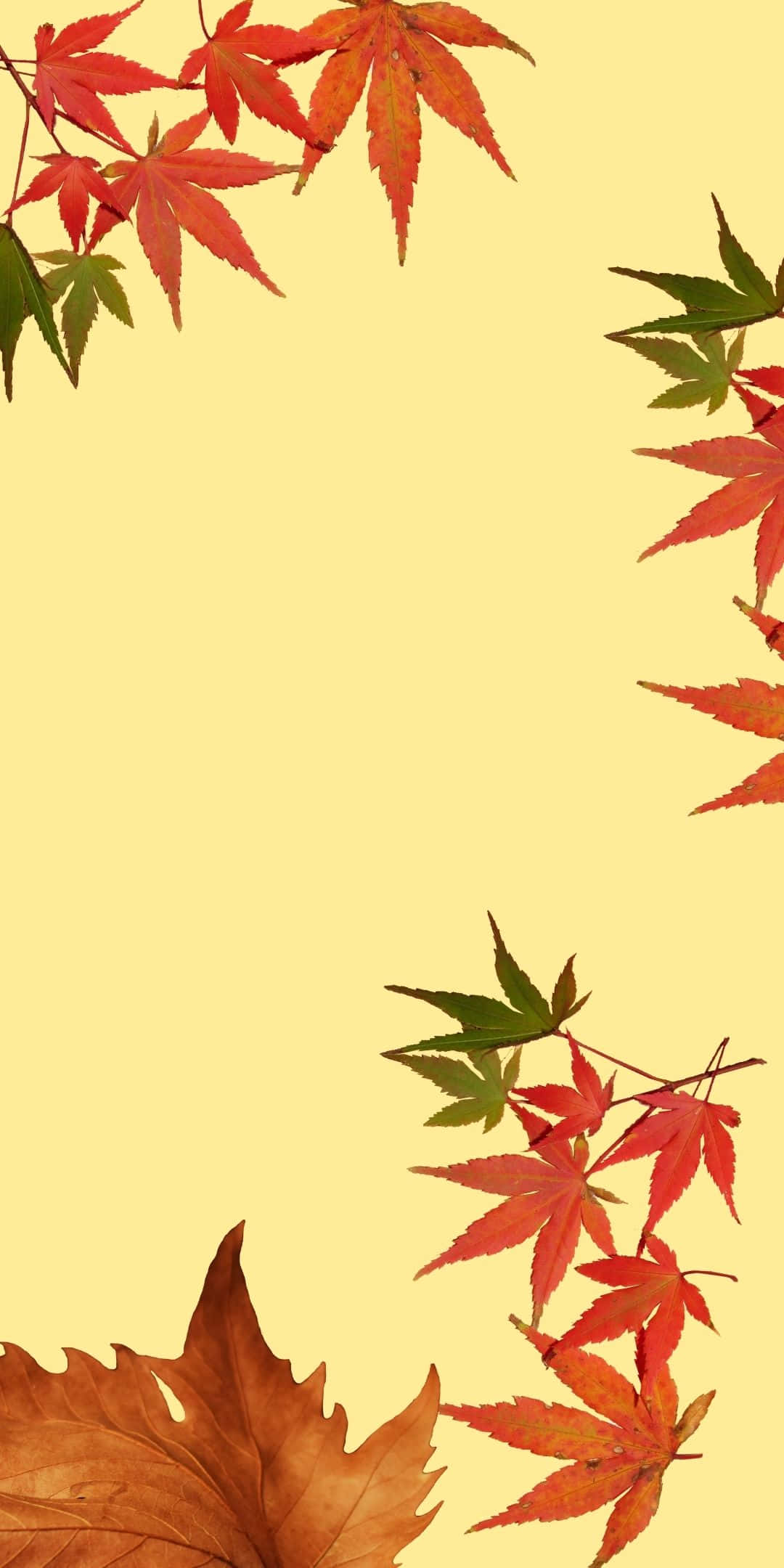 Android Autumn 桌布 壁紙 — 鮮豔的紅色和橙色楓葉在季節性秋季邊框設計中框住淡黃色背景。