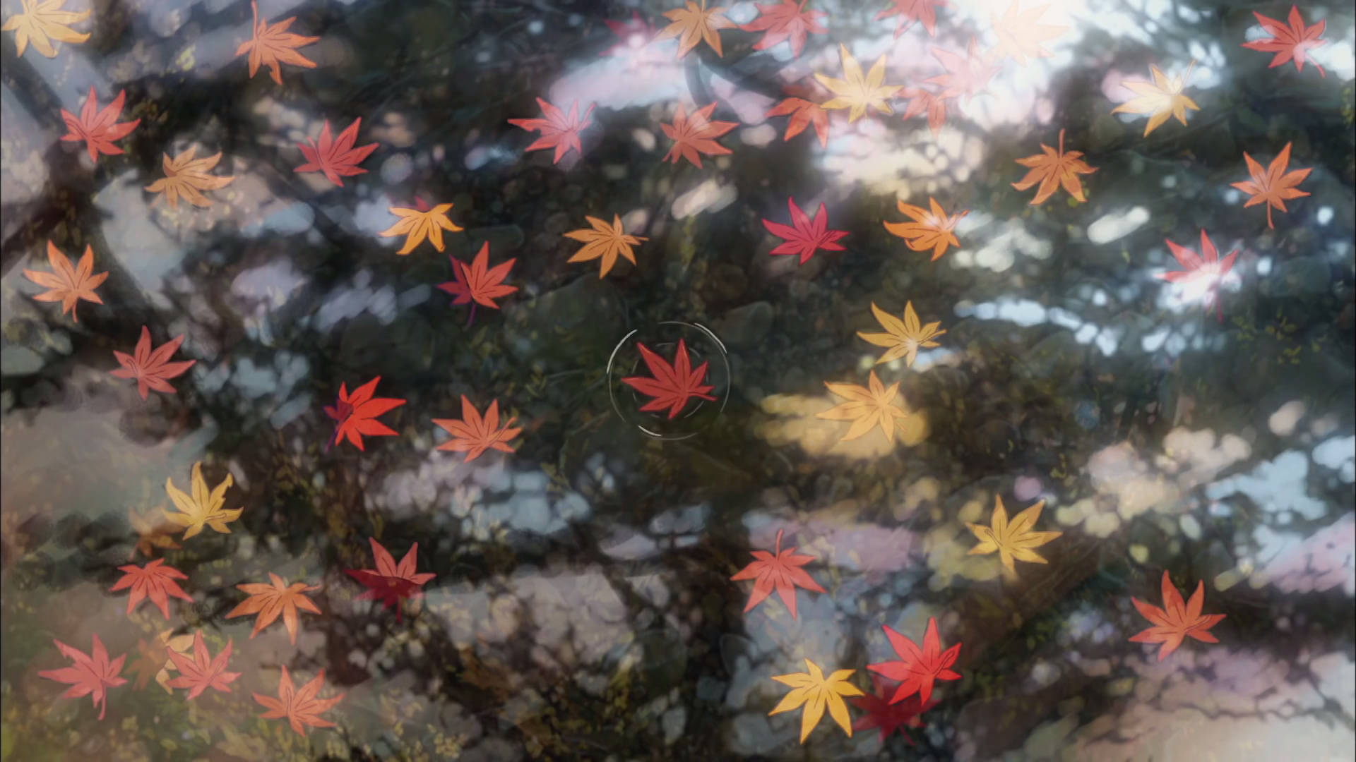 秋天的楓葉漂浮在水面上，帶有樹木倒影和陽光。