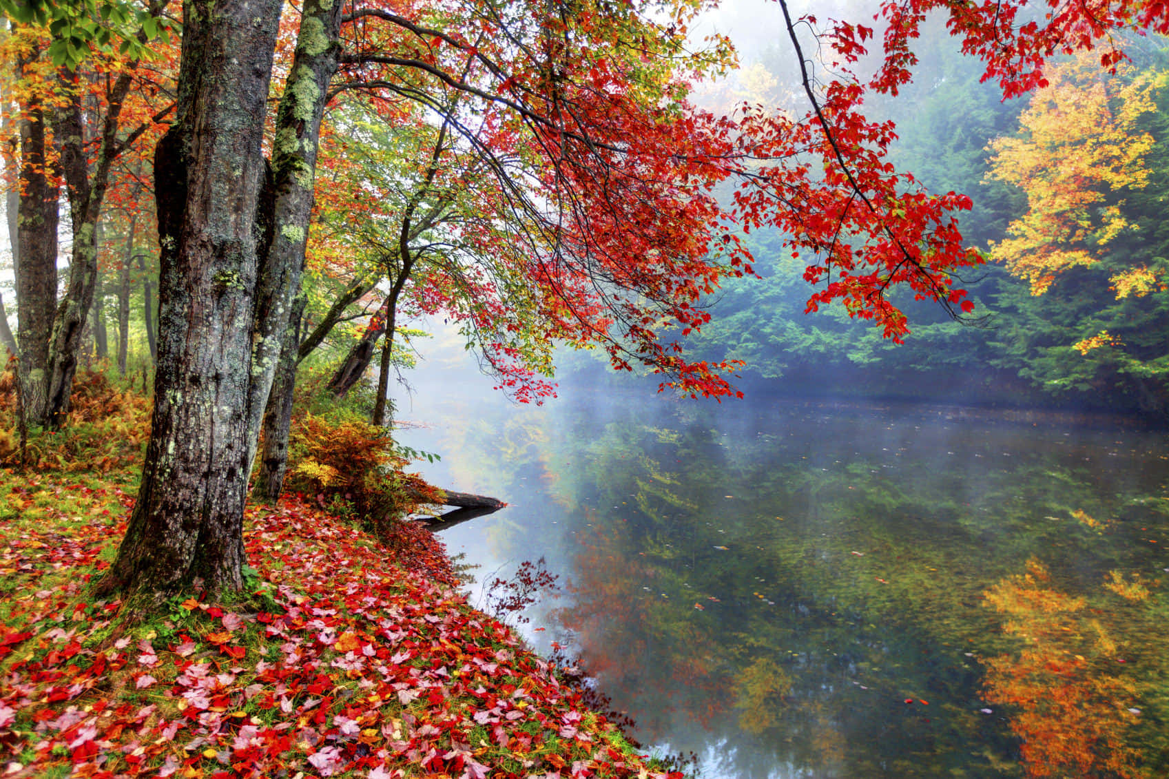 Fall Photography 桌布 壁紙 — 鮮豔的紅色和橙色秋葉環繞著霧氣瀰漫的湖泊，映照出色彩繽紛的森林，呈現寧靜的秋日景象。