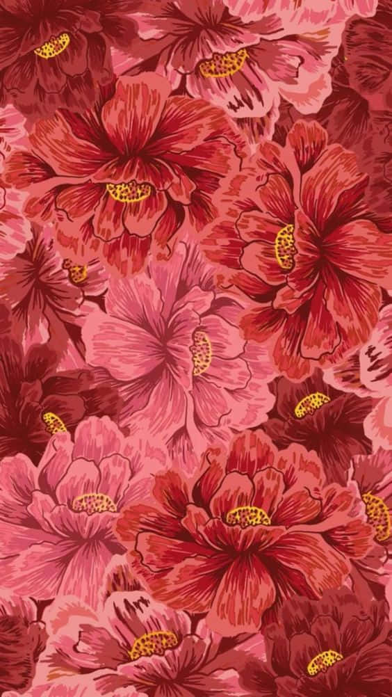 Cute Red 桌布 壁紙 — 鮮豔的紅色和粉紅色芙蓉花，黃色花心，密集地重複綻放。