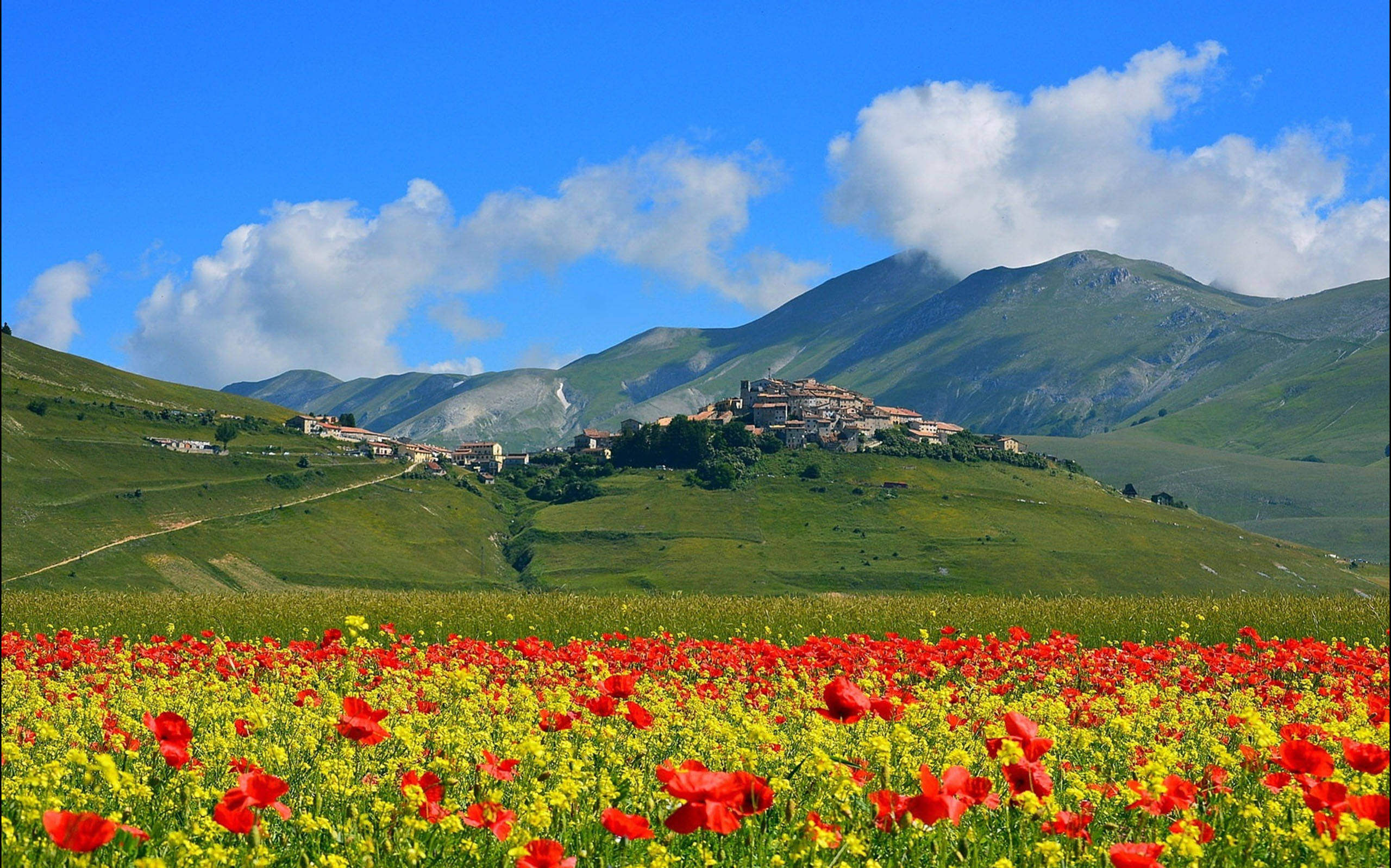 Poppy 桌布 壁紙 — 鮮豔的紅色和黃色罌粟花在前景盛開，一個古樸的山腰村莊坐落在翠綠的山巒之間，上方是明亮的藍天和蓬鬆的白雲。
