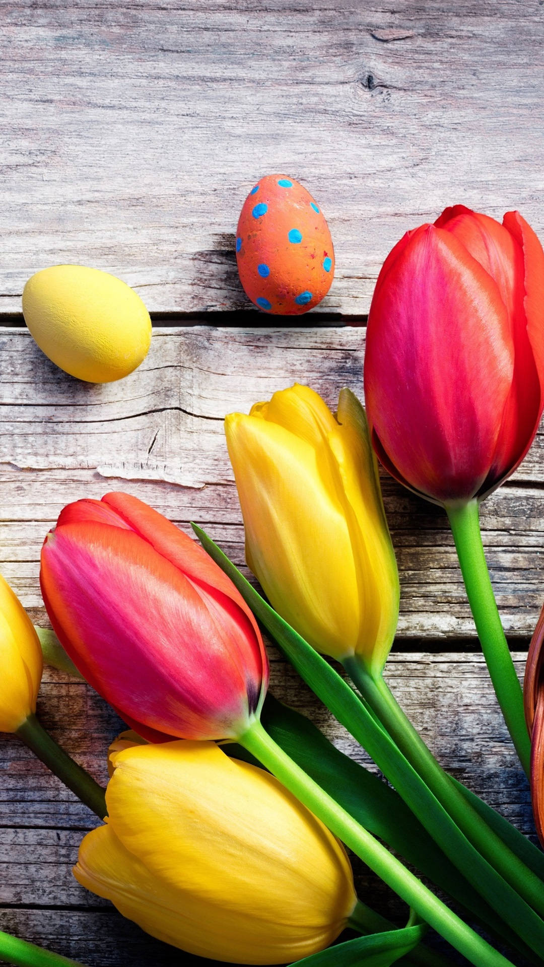 Easter iPhone 桌布 壁紙 — 鮮豔的紅色和黃色鬱金香與彩蛋放在風化的木質表面上。
