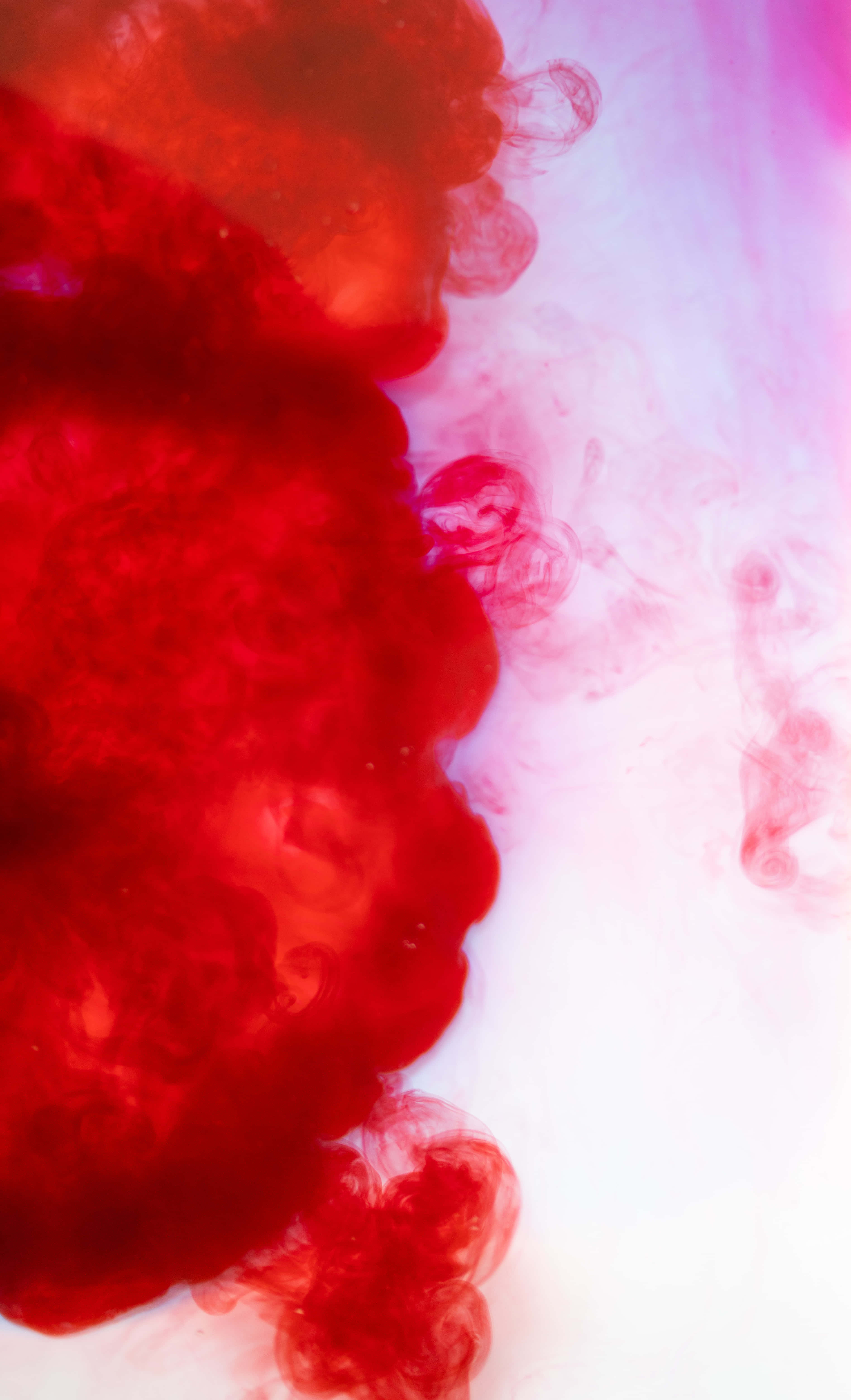 Red Smoke Effect 桌布 壁紙 — 鮮豔的紅色墨水在柔和的粉紅色和白色背景上戲劇性地旋轉，形成流暢的抽象構圖。