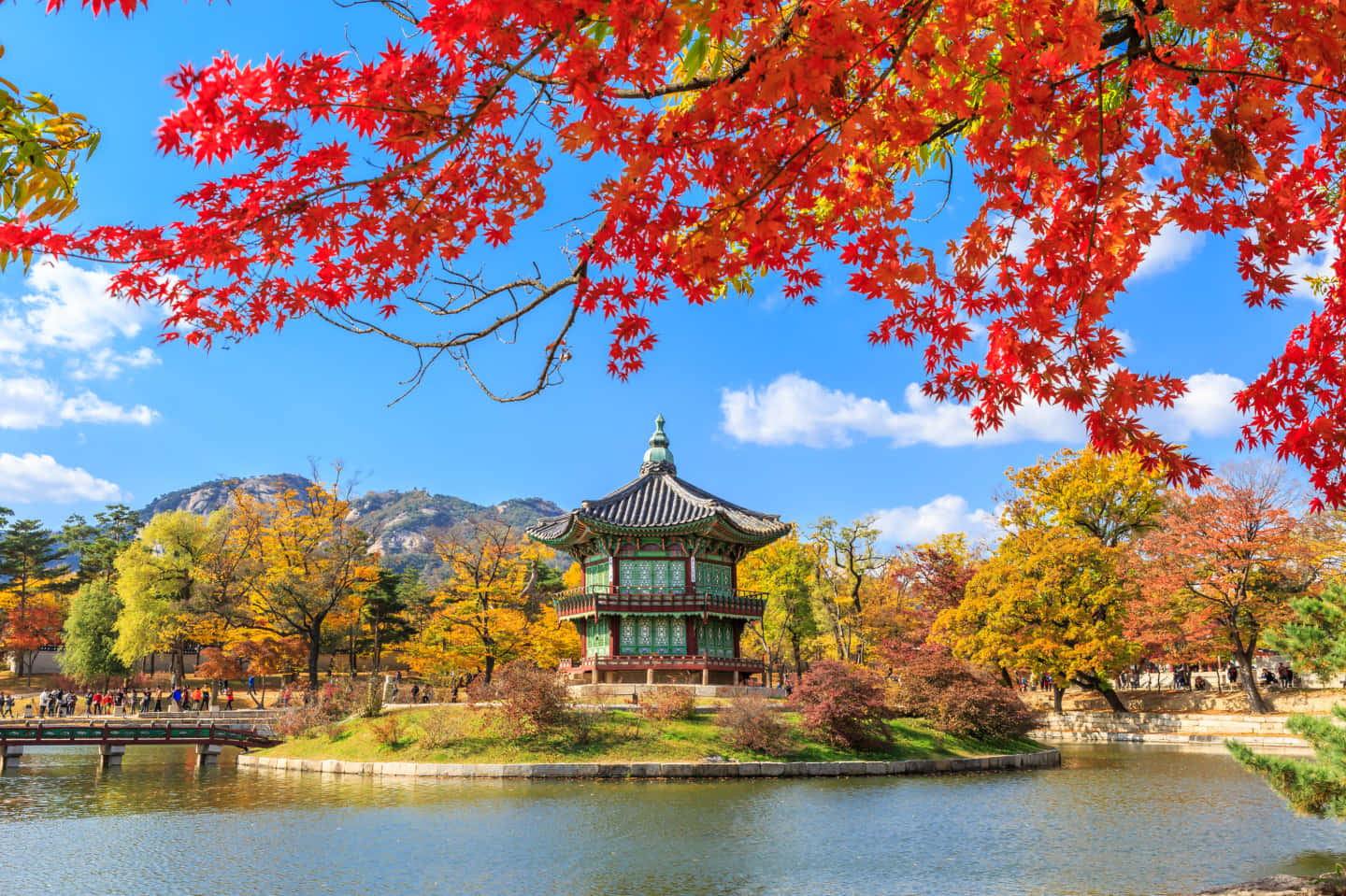 南韓 桌布 壁紙 — 鮮豔的紅色楓葉框住了一個傳統韓國亭子，位於池塘上，周圍是秋天的樹木，天空清澈湛藍。