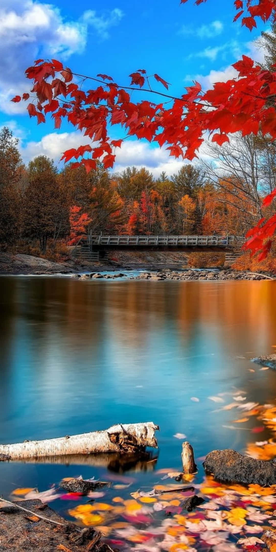 Pixel 3 Autumn 桌布 壁紙 — 鮮豔的紅色楓葉框住了一條寧靜的秋日河流，河上有木橋和色彩繽紛的樹葉，天空湛藍明亮。