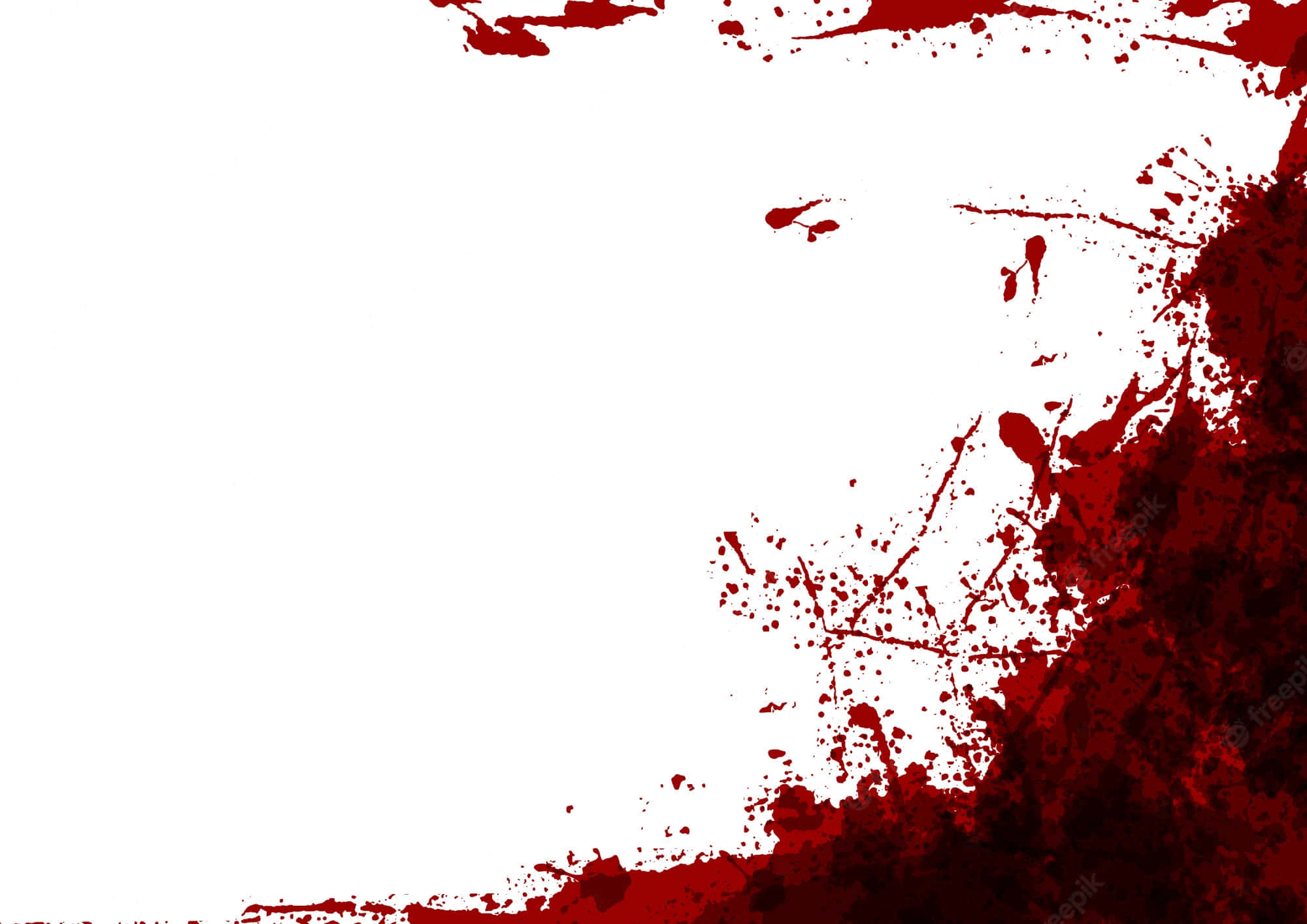 Blood Splatter 桌布 壁紙 — 鮮豔的紅色油漆飛濺和滴落在純白色背景的右下角傾瀉而下。