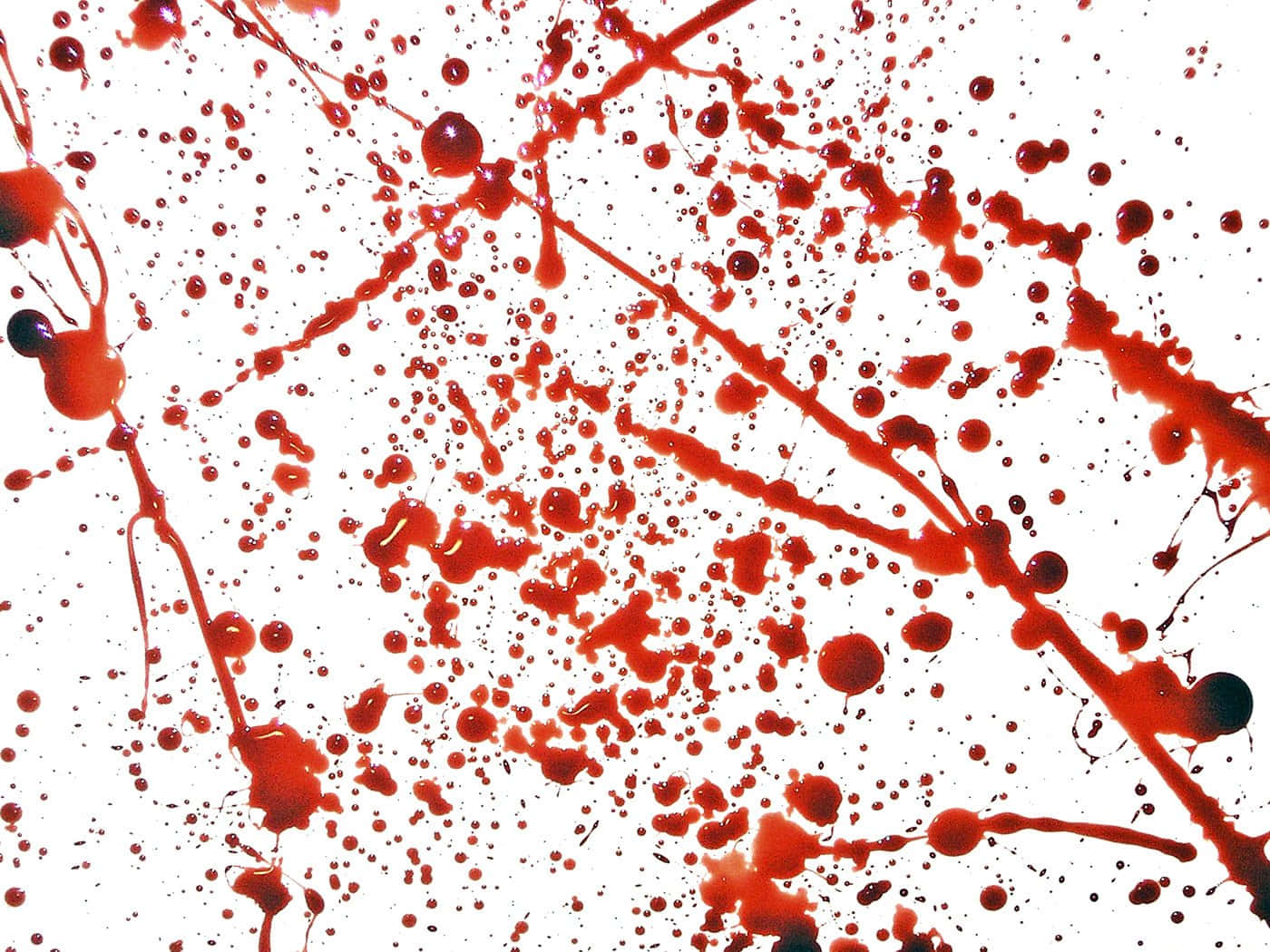 Blood Splatter 桌布 壁紙 — 鮮豔的紅色油漆飛濺在純白背景上，形成色彩與動感的混亂爆發。