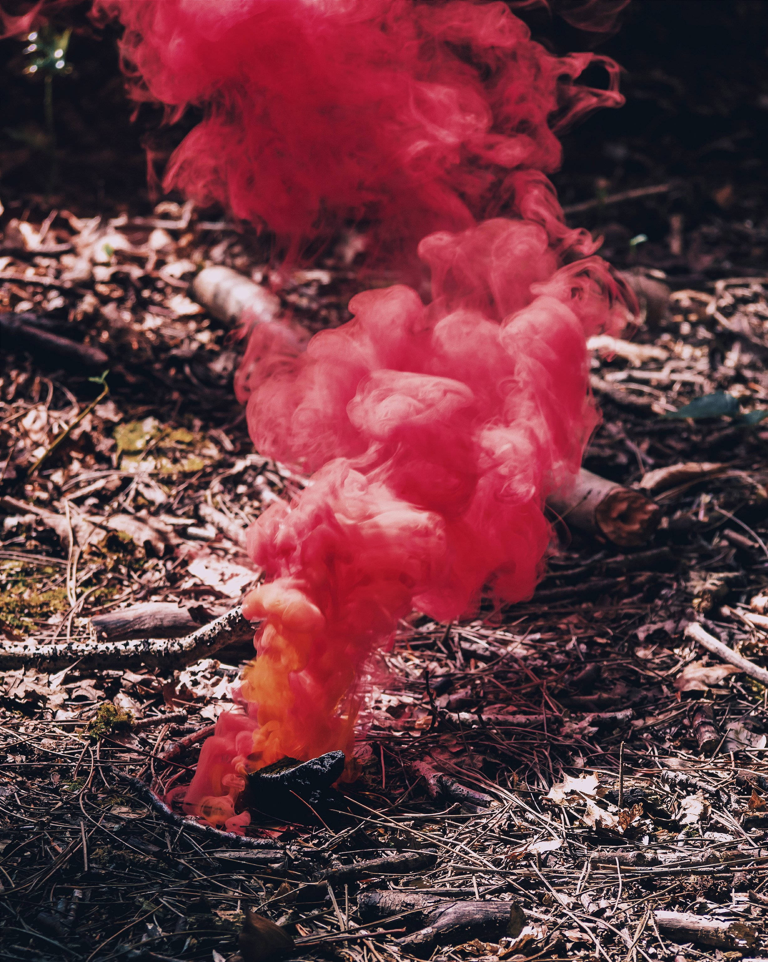 Red Color 桌布 壁紙 — 鮮豔的紅色煙霧從乾燥森林地面的碎屑中升起。