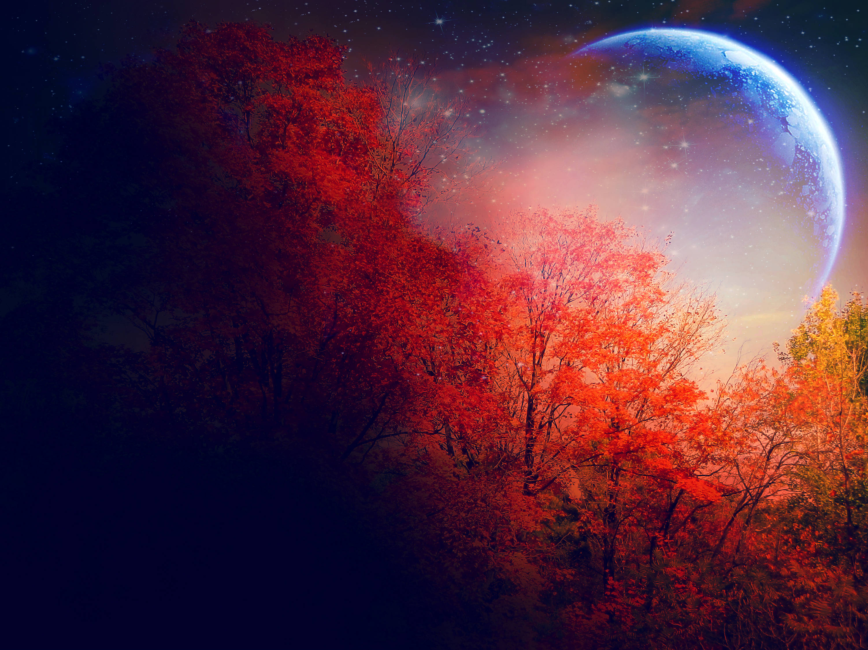 夜空 桌布 壁紙 — 鮮豔的紅色秋樹襯托著一顆發光的藍色行星，背景是星光燦爛的宇宙天空。