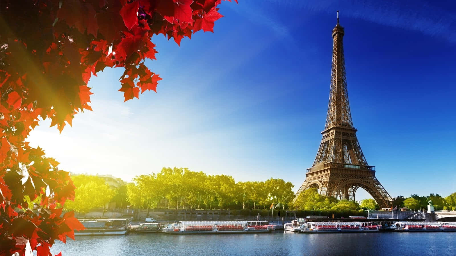 Beautiful Travel 桌布 壁紙 — 鮮豔的紅色秋葉在清澈的藍天下框住艾菲爾鐵塔，陽光透過樹葉灑落。