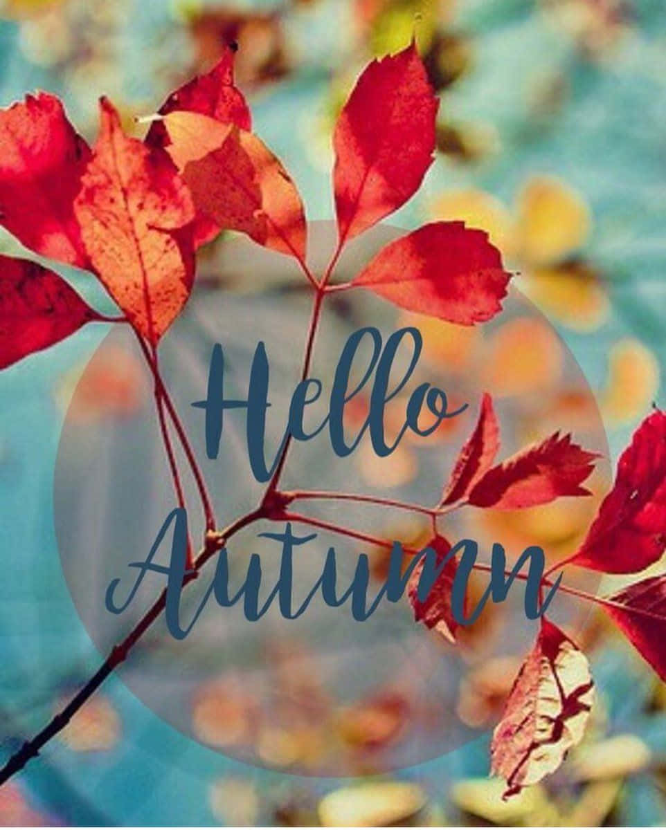 Hello Fall 桌布 壁紙 — 鮮豔的紅色秋葉掛在樹枝上，帶有「Hello Autumn」文字疊加在柔和的藍色散景背景上。