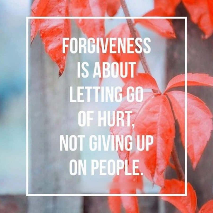 Forgiveness 桌布 壁紙 — 鮮豔的紅色秋葉框住了一個白色邊框的勵志名言，關於寬恕，背景柔和模糊。