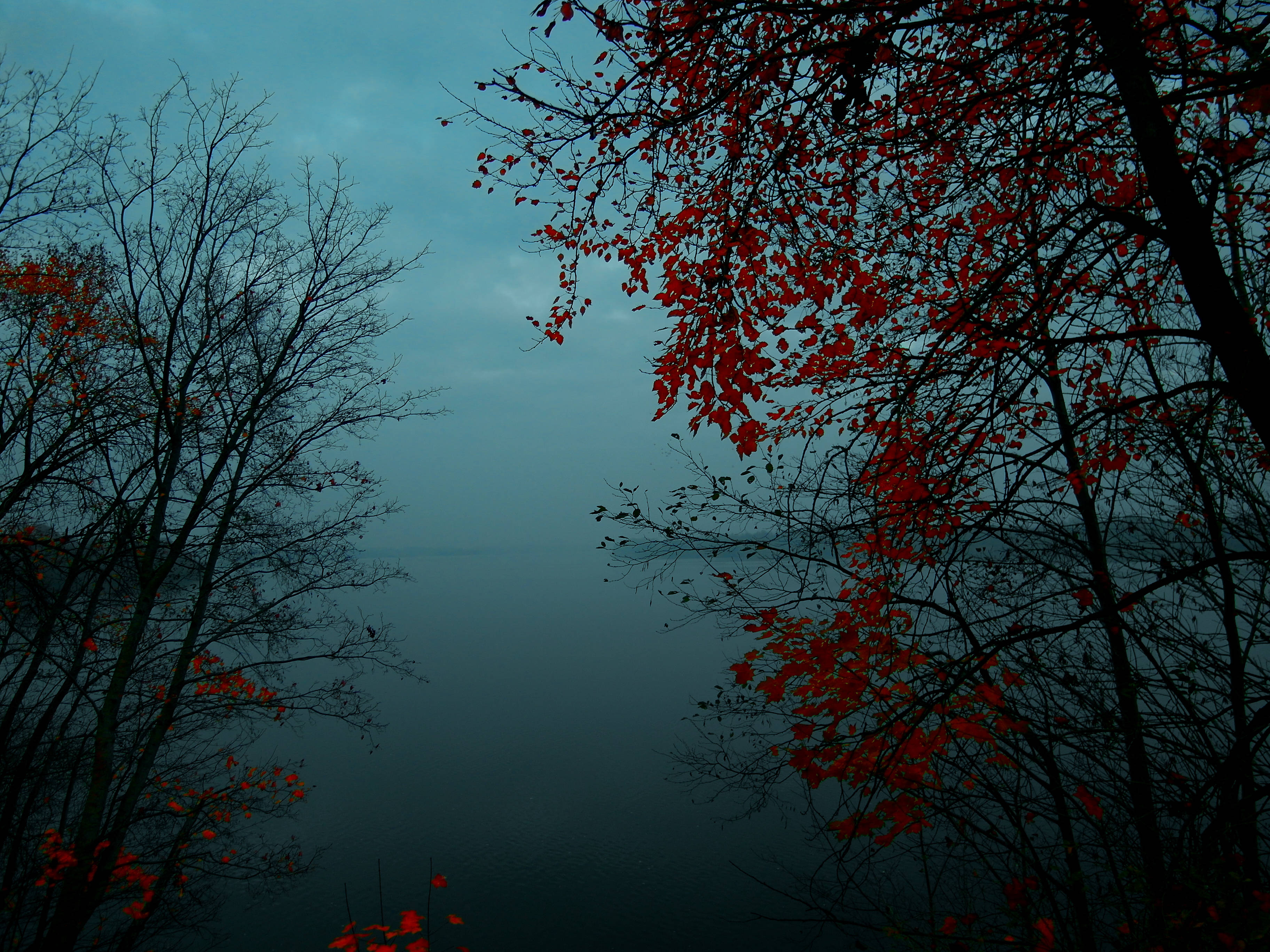 Foggy 桌布 壁紙 — 鮮豔的紅色秋葉框住了一個霧氣瀰漫的湖泊，背景是憂鬱的暮色天空。