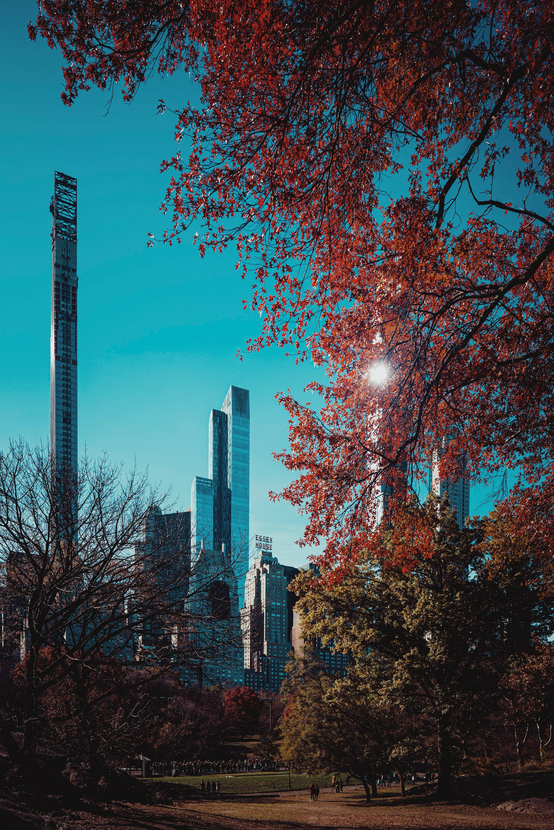 Autumn Leaves 桌布 壁紙 — 鮮豔的紅色秋葉框住了城市公園中高聳的玻璃摩天大樓上方清澈的藍天。