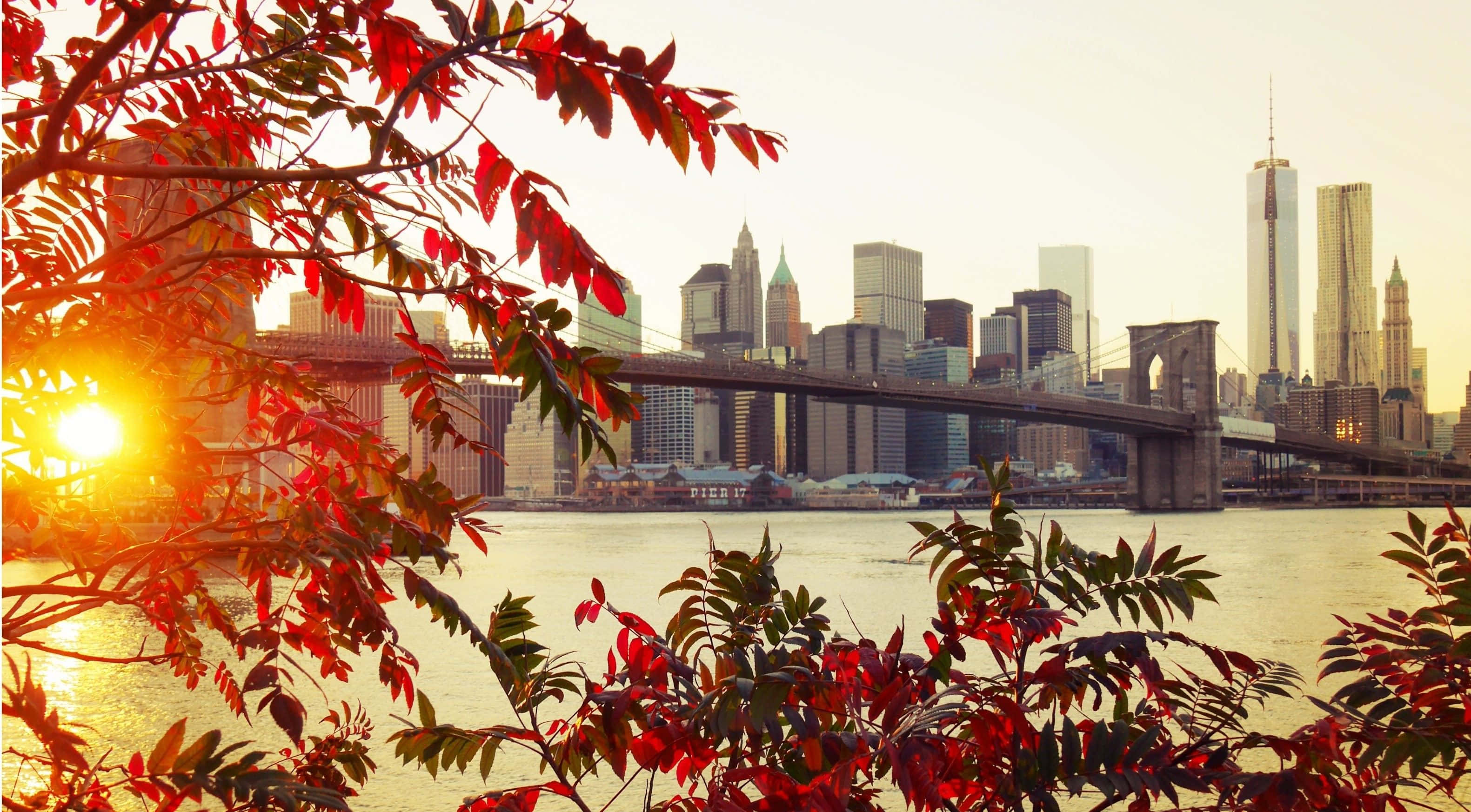 Fall Town 桌布 壁紙 — 鮮豔的紅色秋葉框住了布魯克林大橋和紐約市天際線上的金色日落。