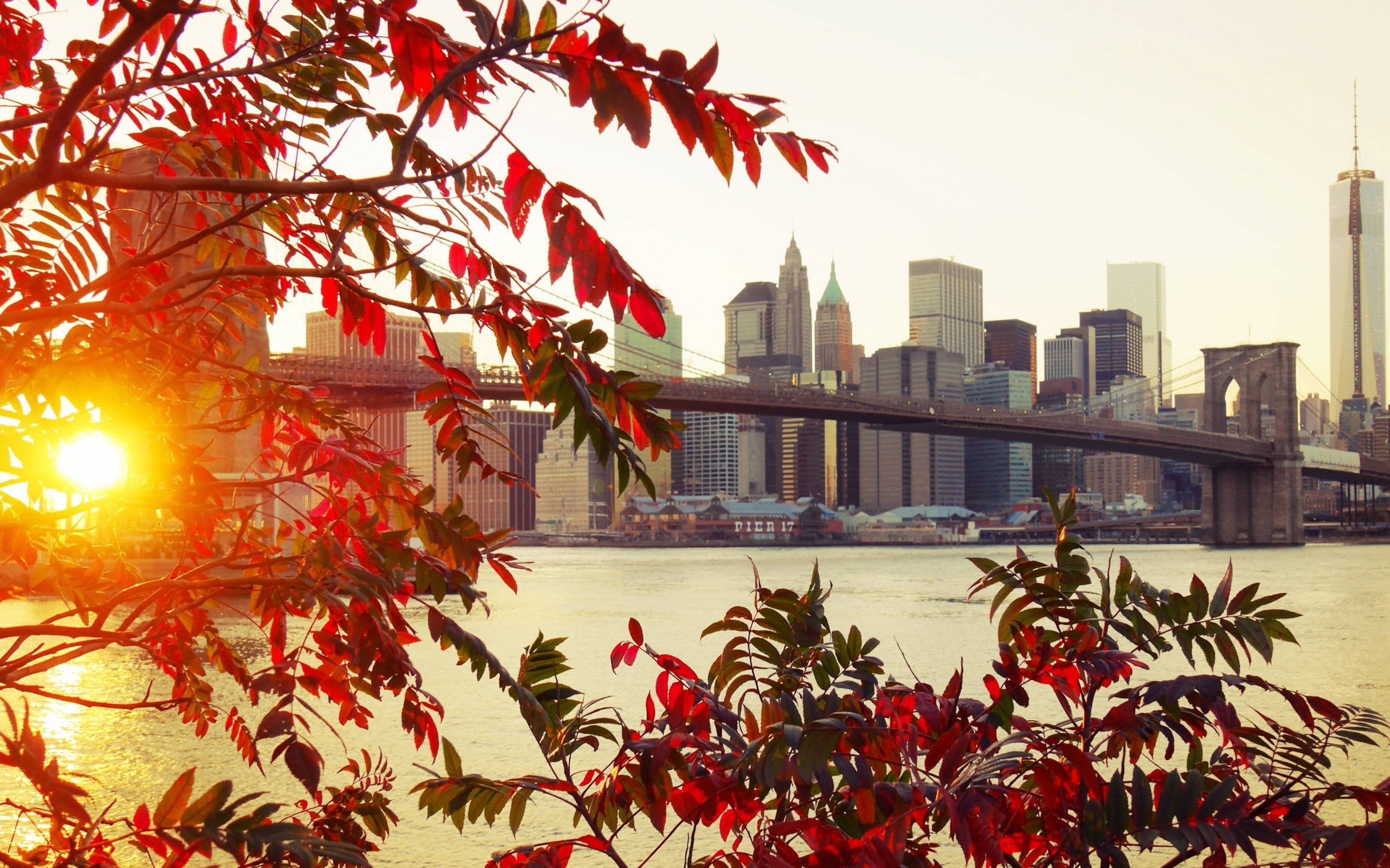 Brooklyn Bridge 桌布 壁紙 — 鮮豔的紅色秋葉框住了布魯克林大橋和曼哈頓天際線上的金色日出。