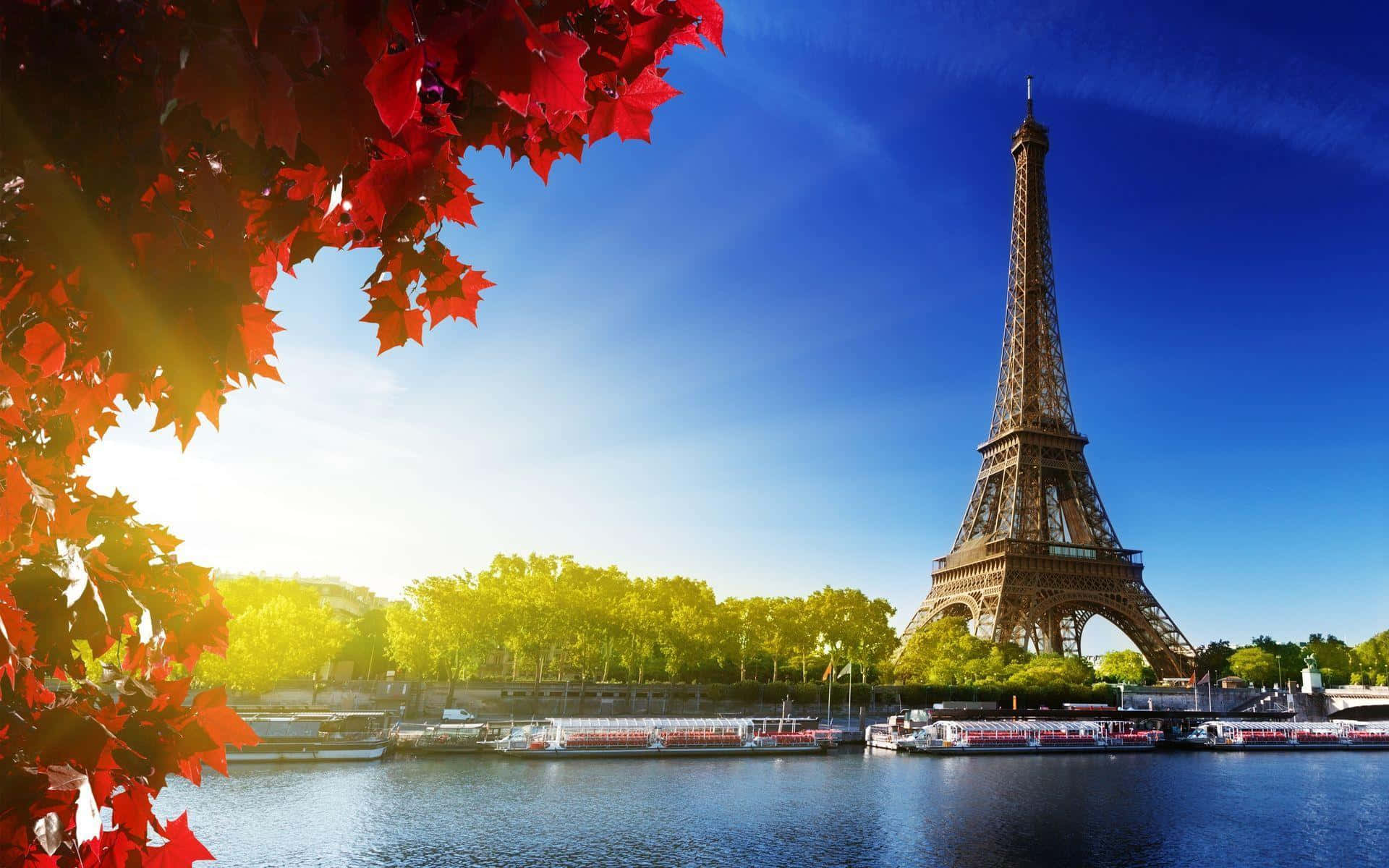 Eiffel Tower 桌布 壁紙 — 鮮豔的紅色秋葉框住艾菲爾鐵塔，在清澈的藍天下，陽光在塞納河上閃爍。