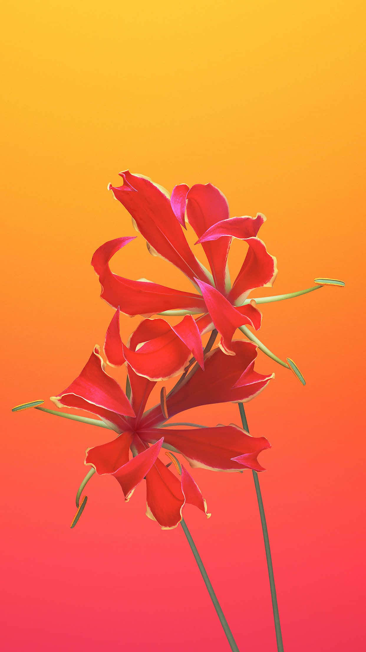 iPhone 桌布 壁紙 — 鮮豔的紅色花朵，花瓣細膩，在溫暖漸變的日落天空中綻放。
